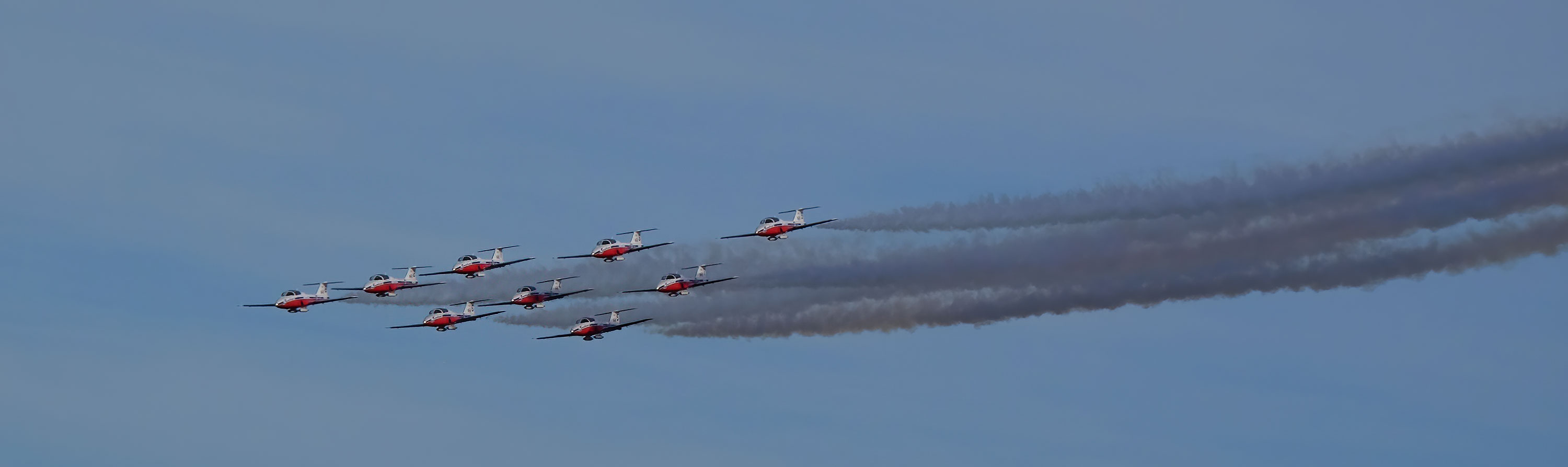 Snowbirds