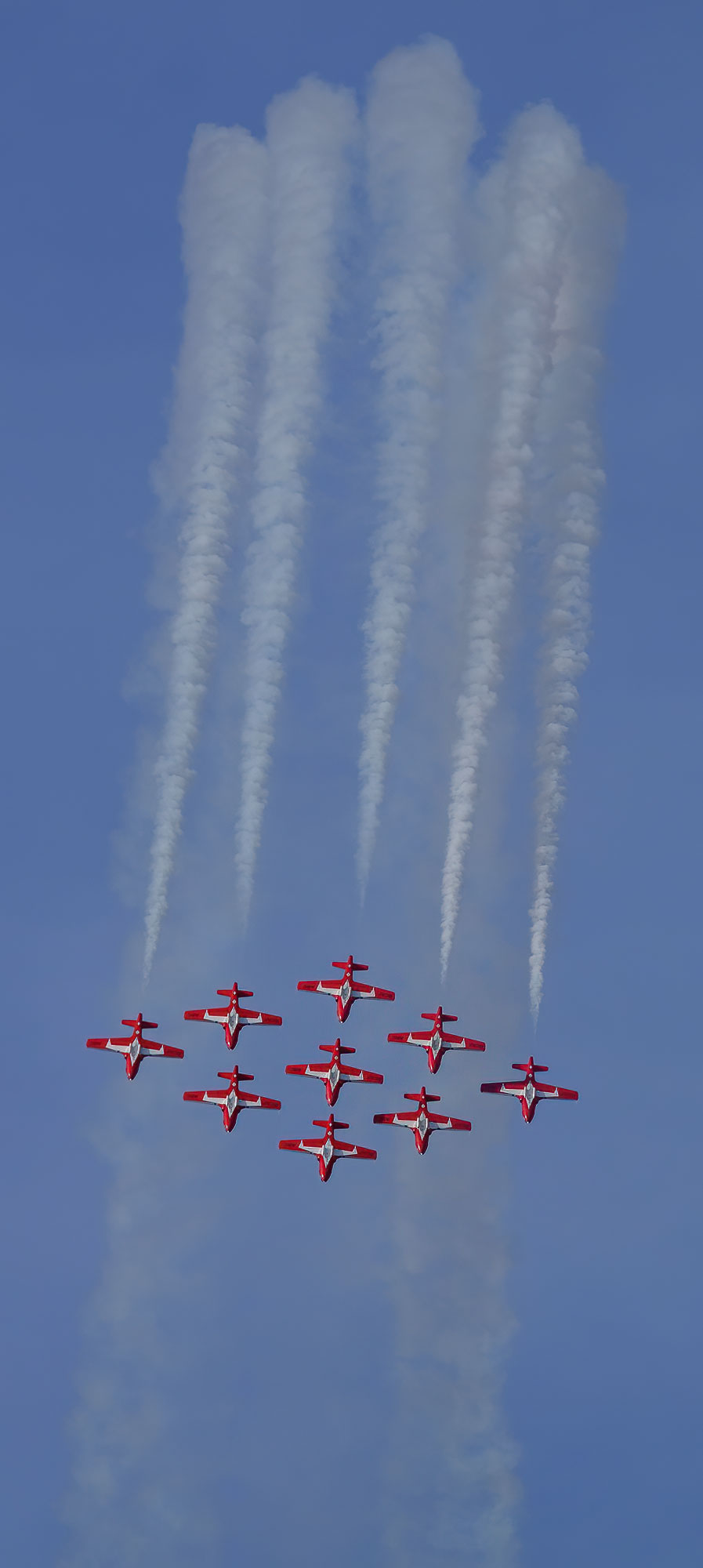 Snowbirds