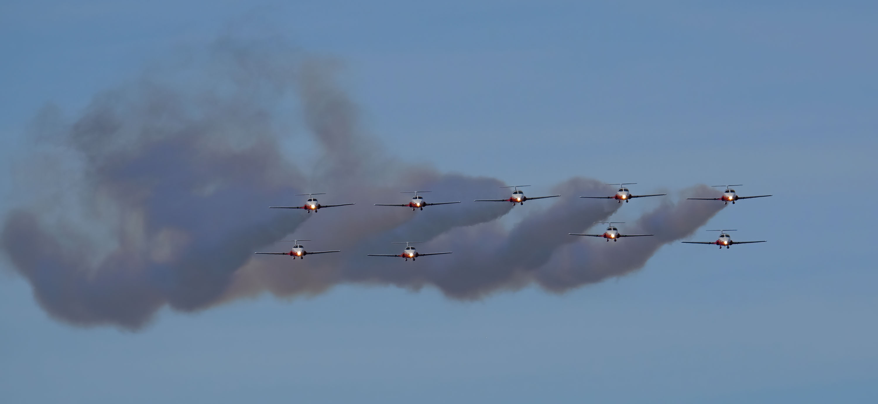 Snowbirds