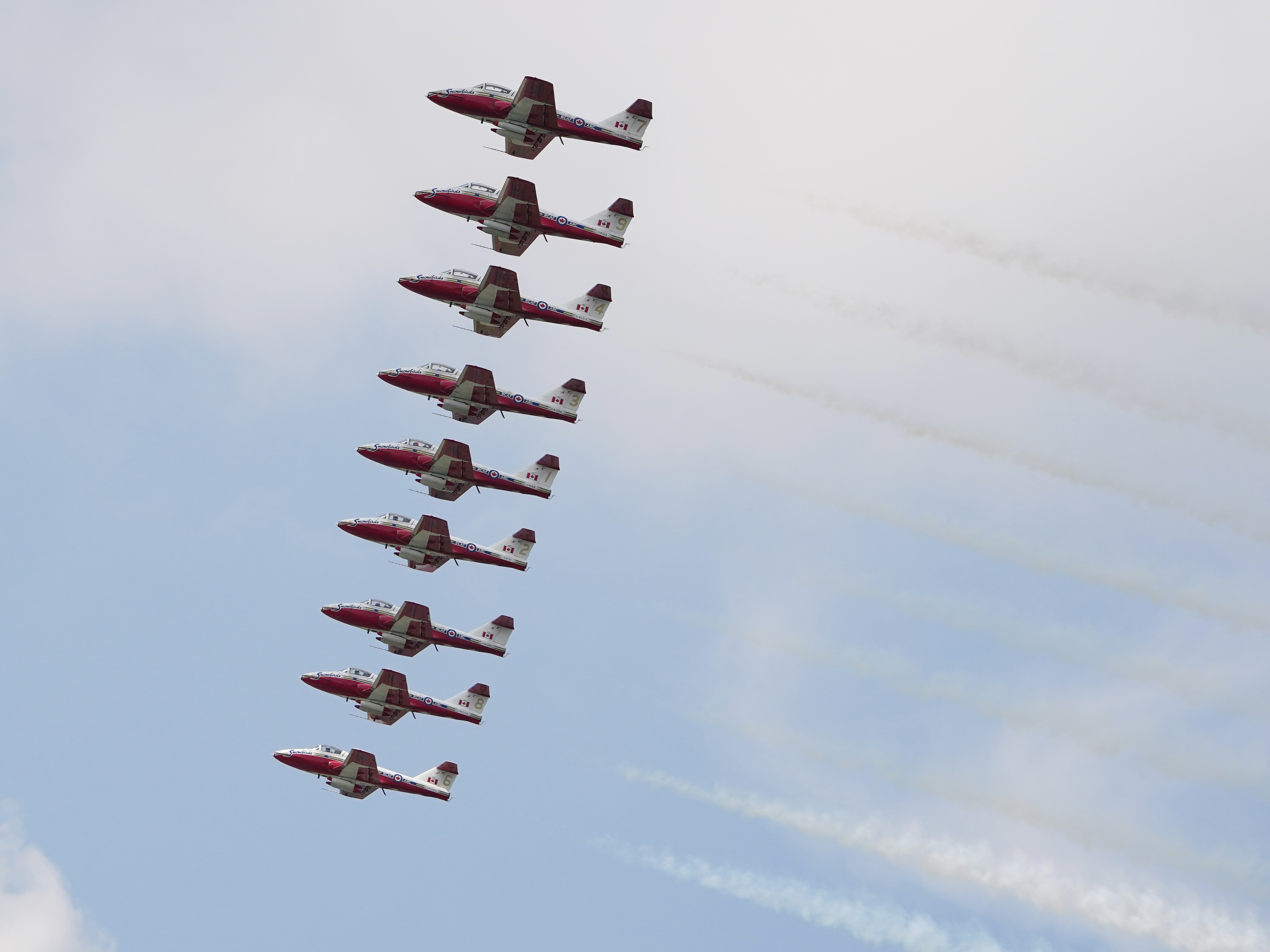 Snowbirds
