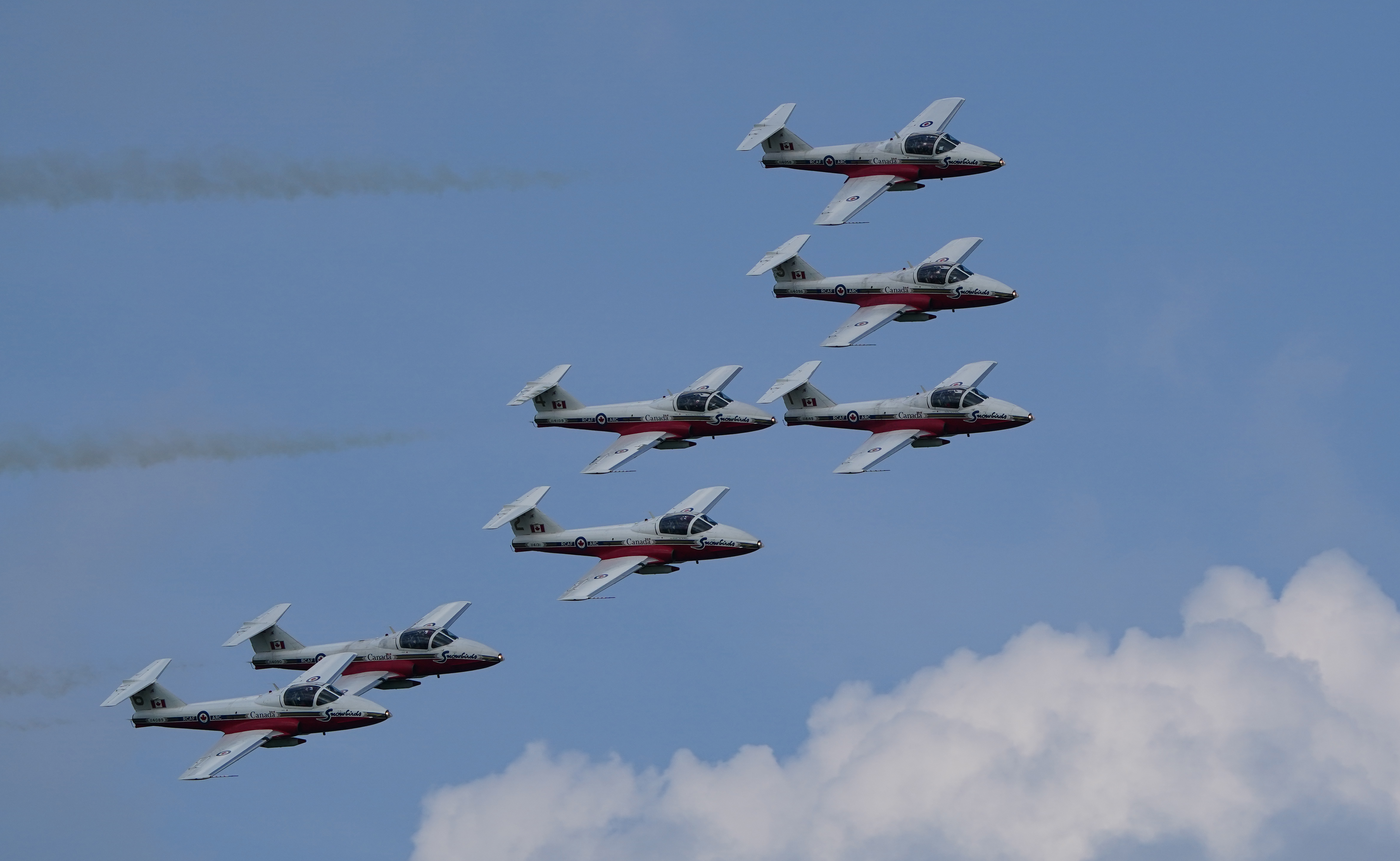 Snowbirds