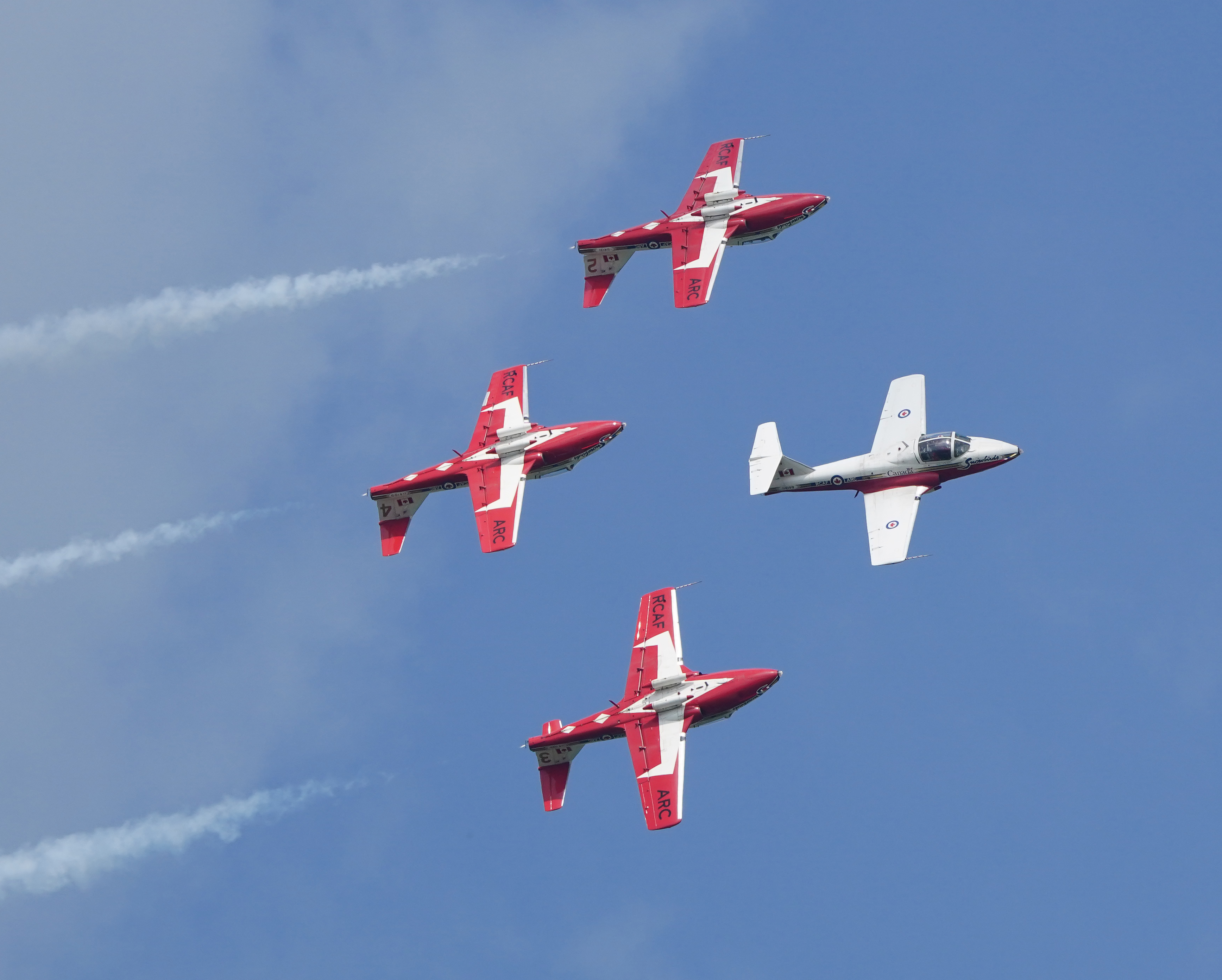 Snowbirds