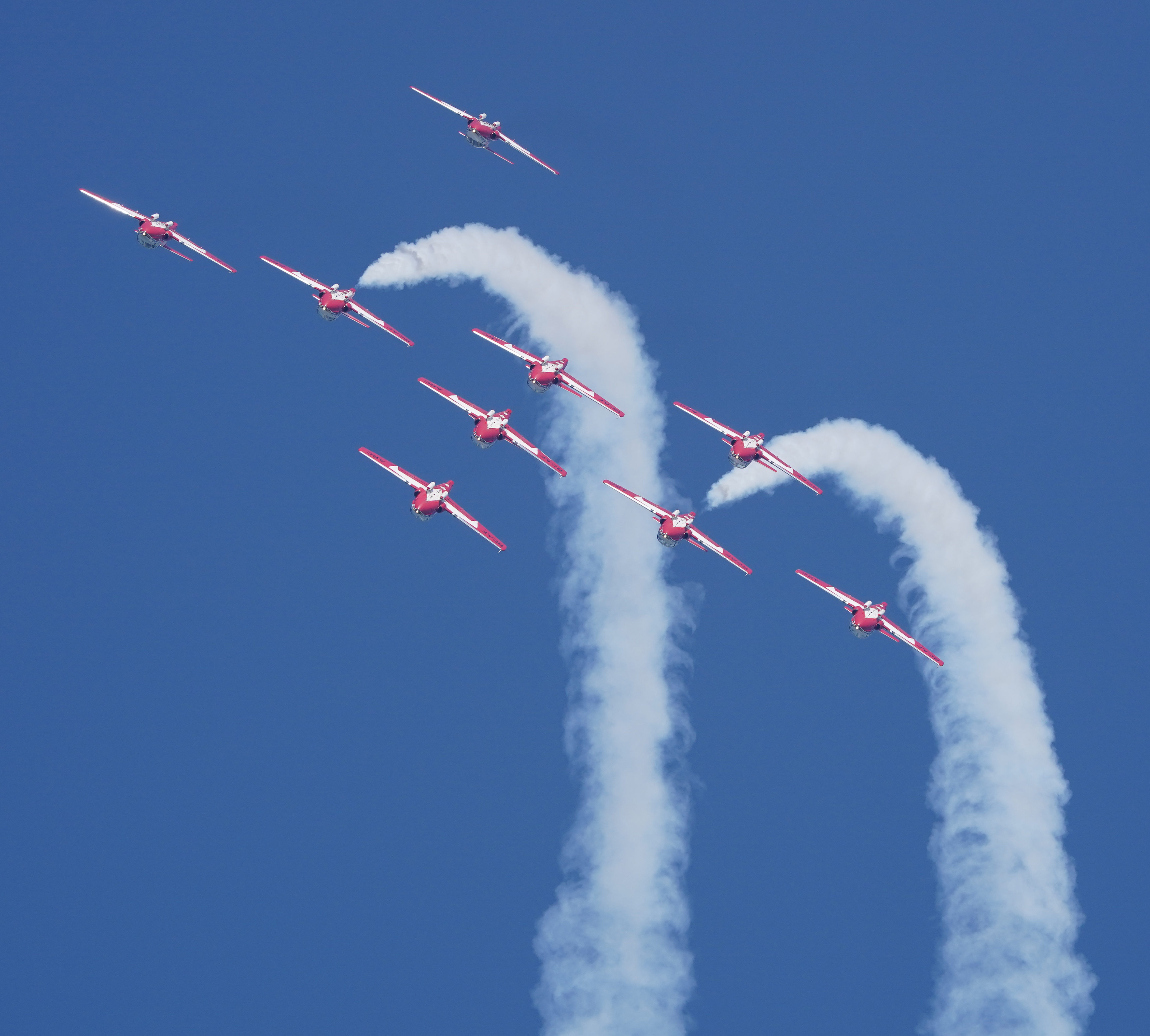 Snowbirds