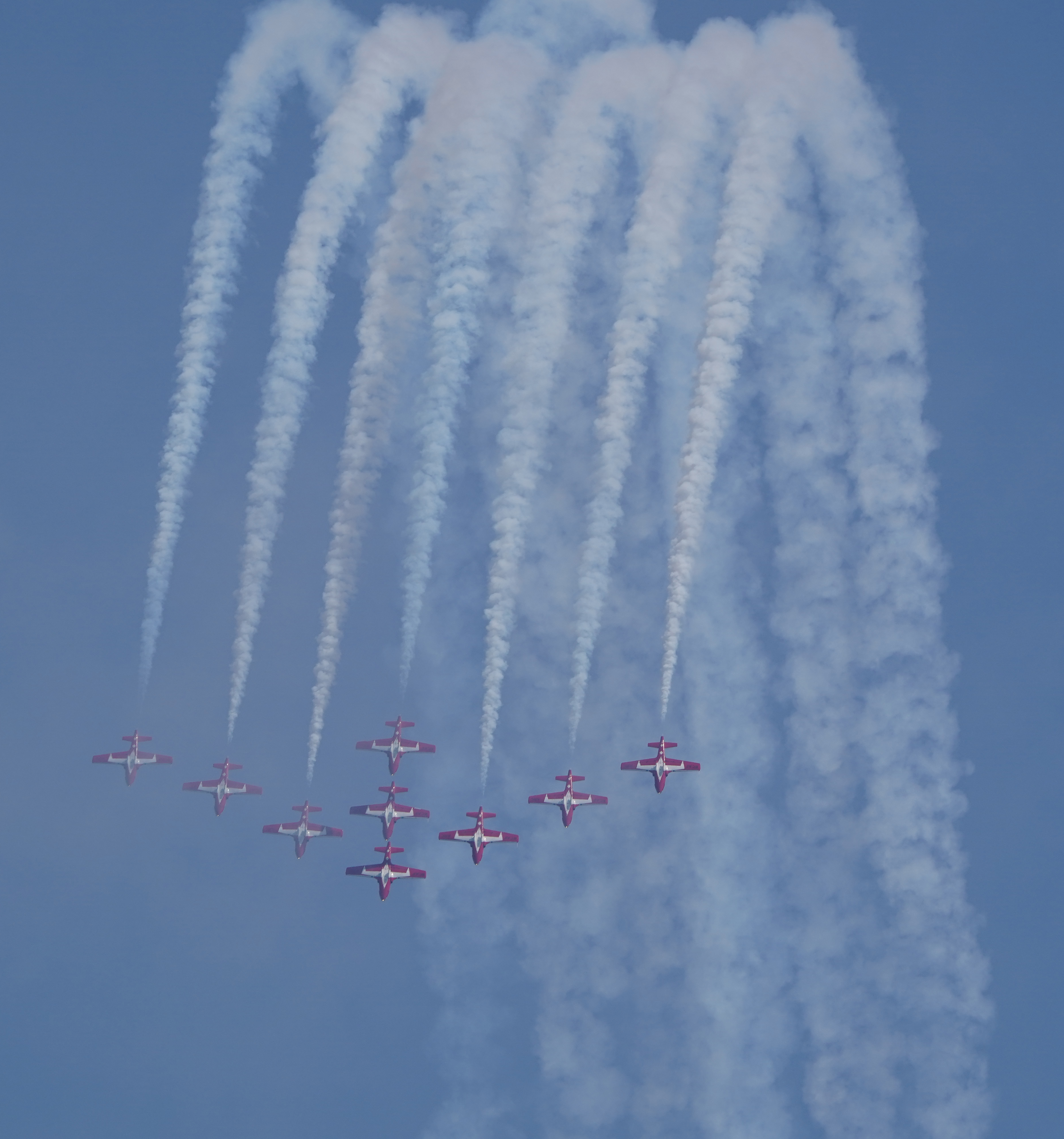 Snowbirds