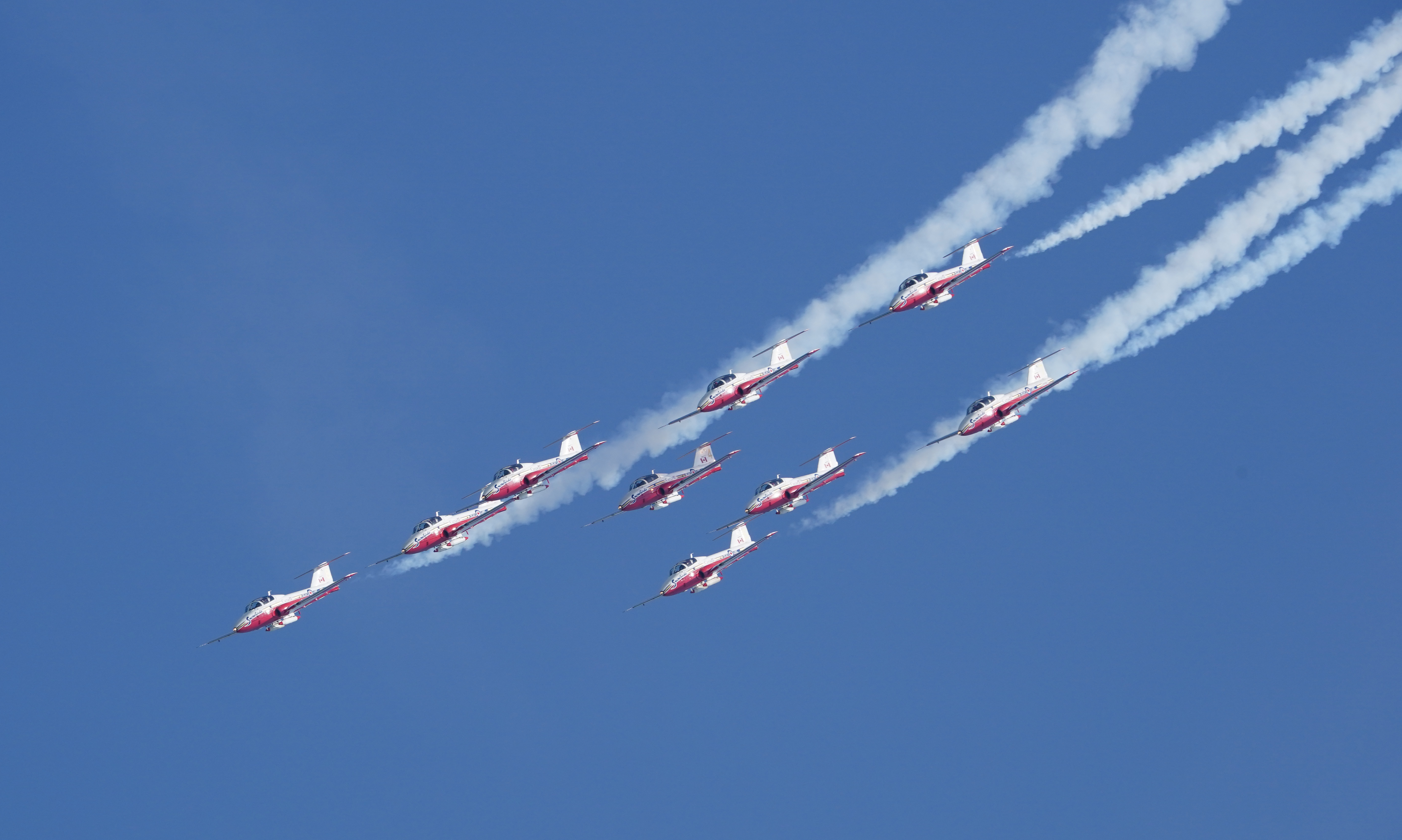 Snowbirds