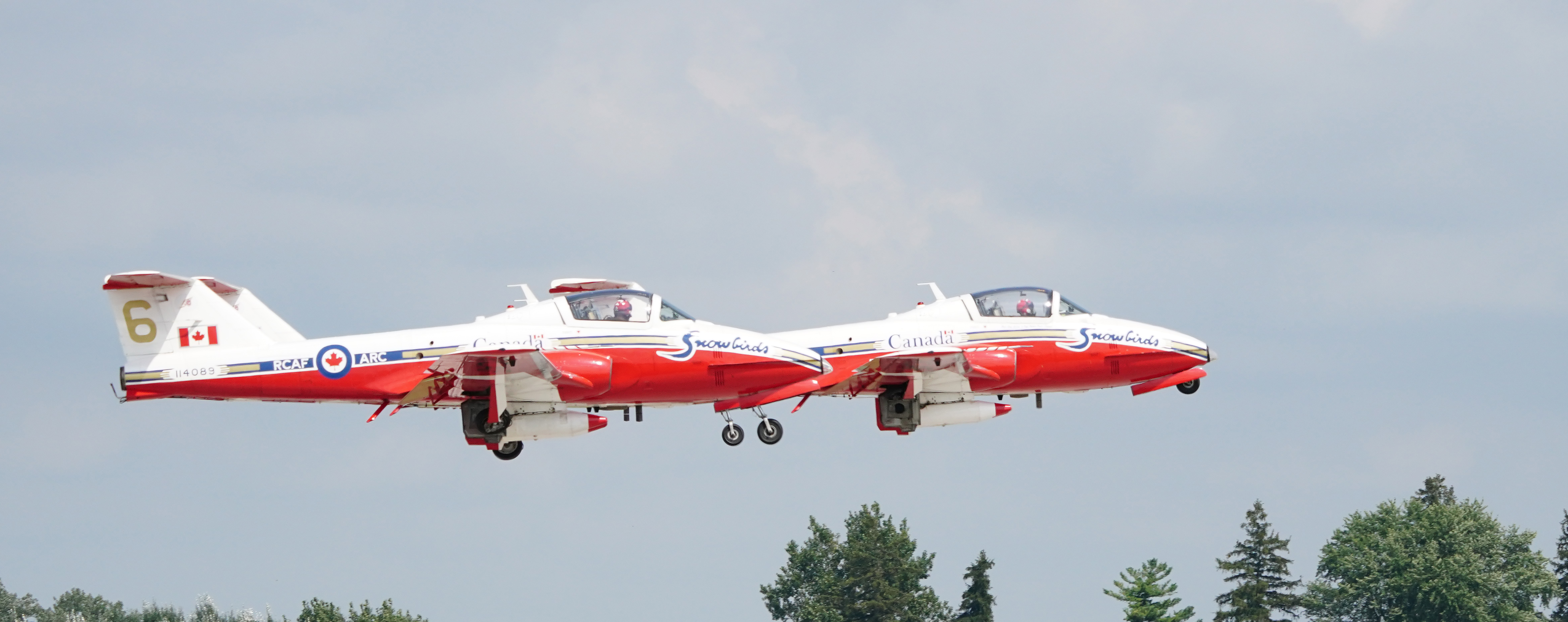 Snowbirds
