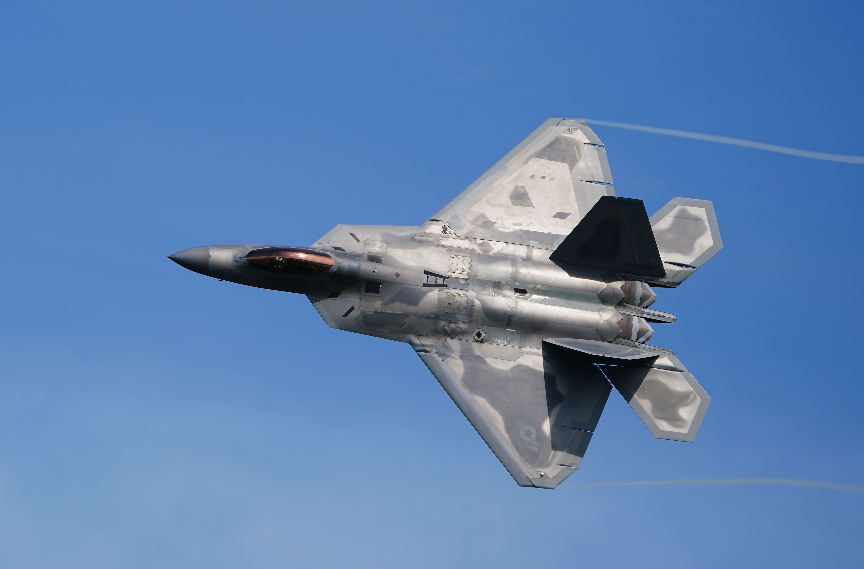 F-22 Raptor