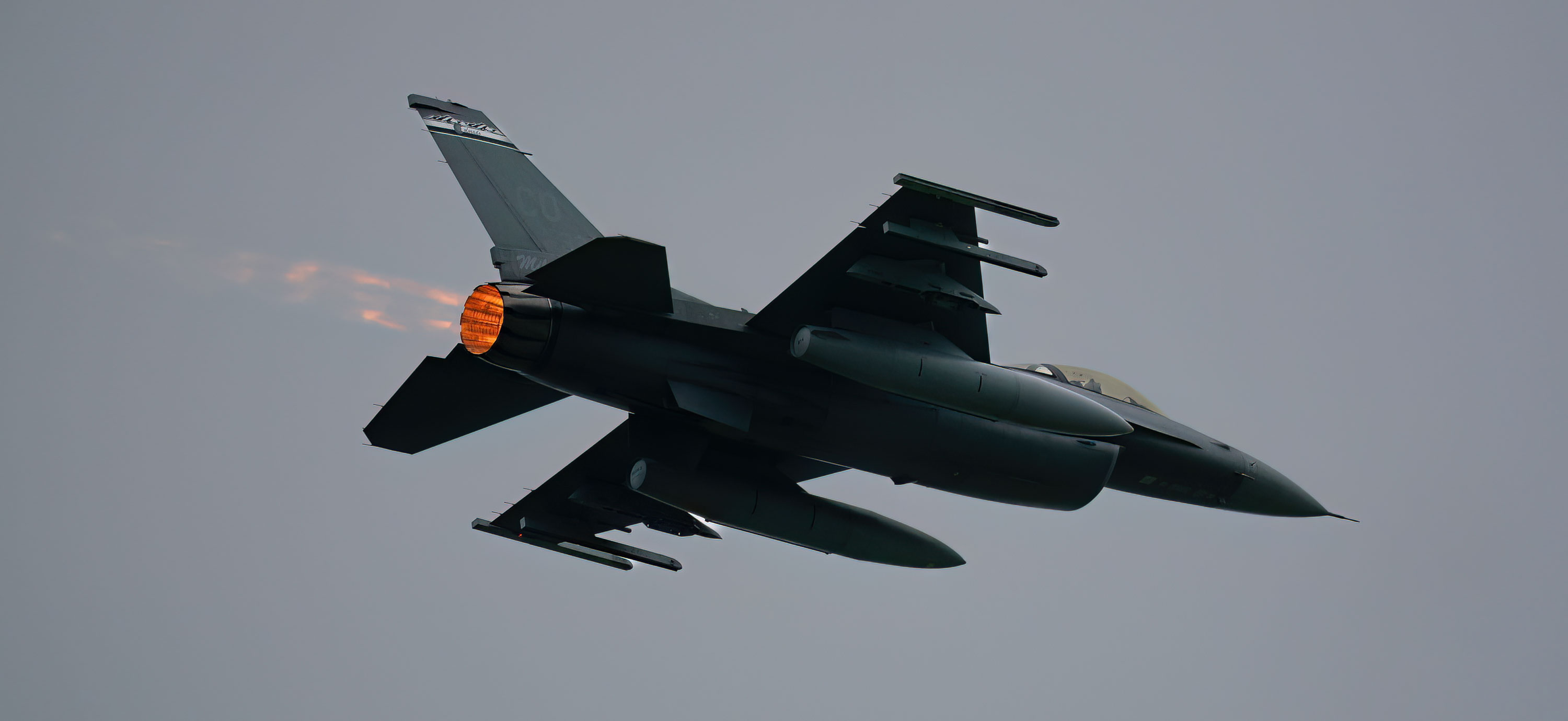 Air National Guard F-16C/D Fighting Falcon