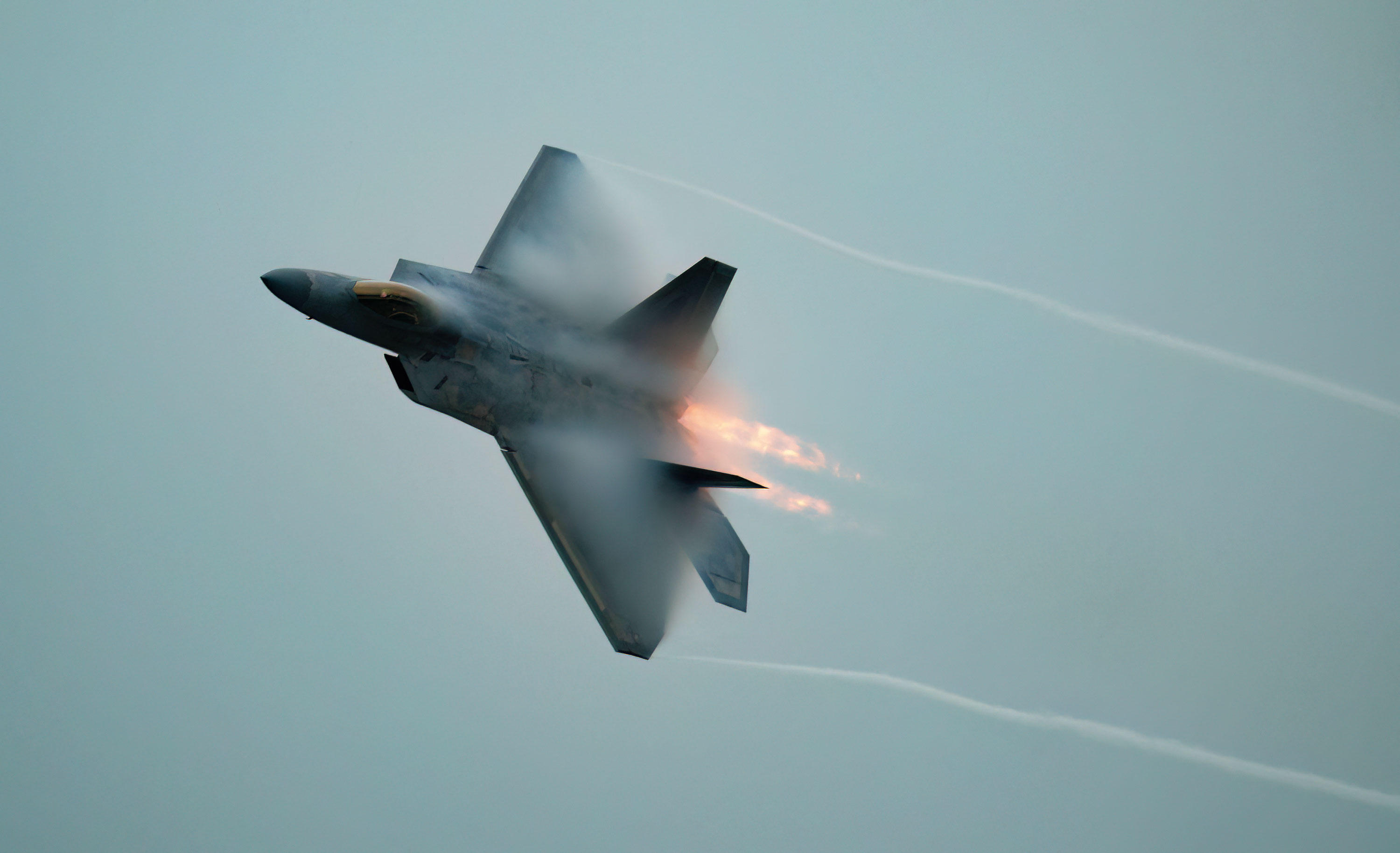 USAF F-22 Raptor