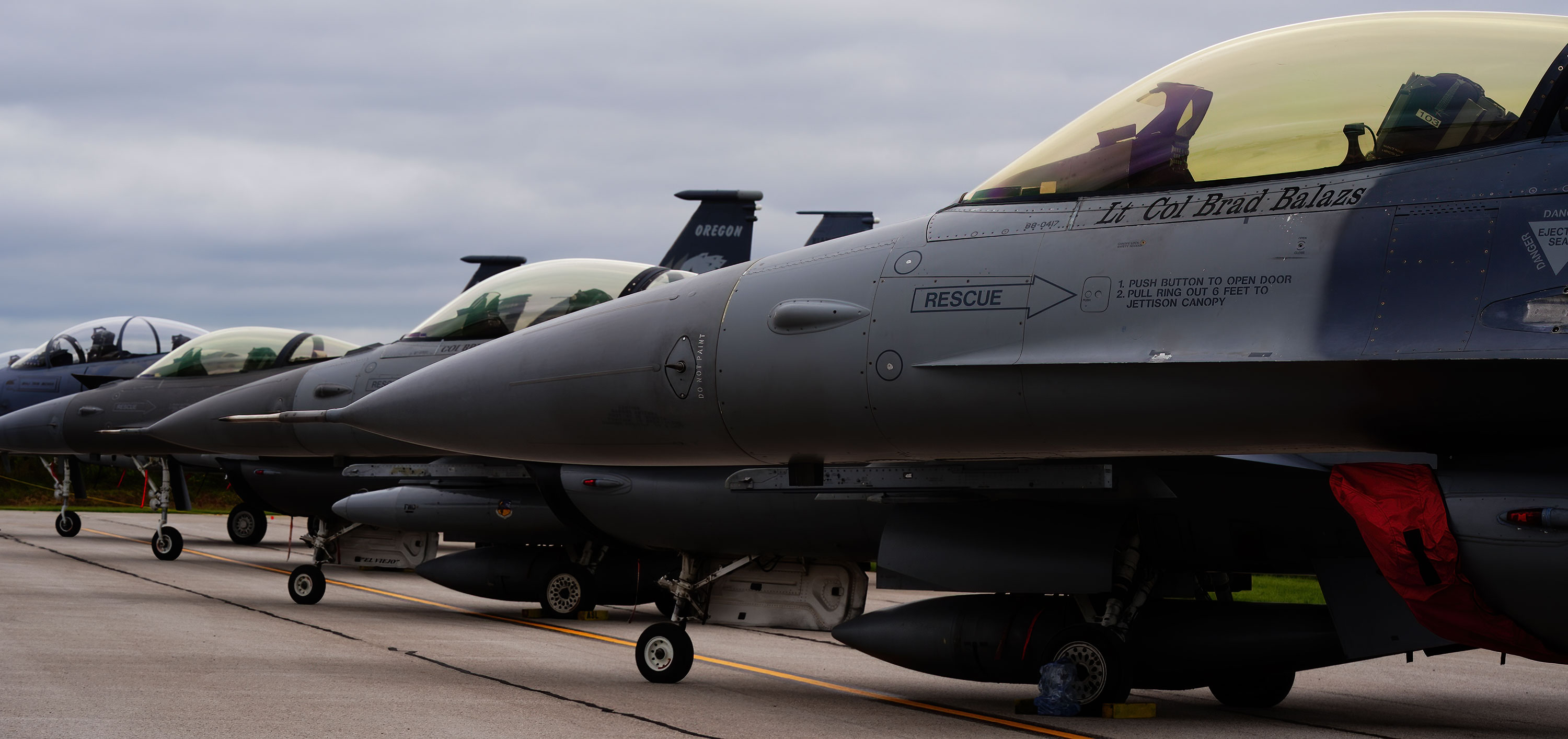 Air National Guard F-16C/D Fighting Falcon