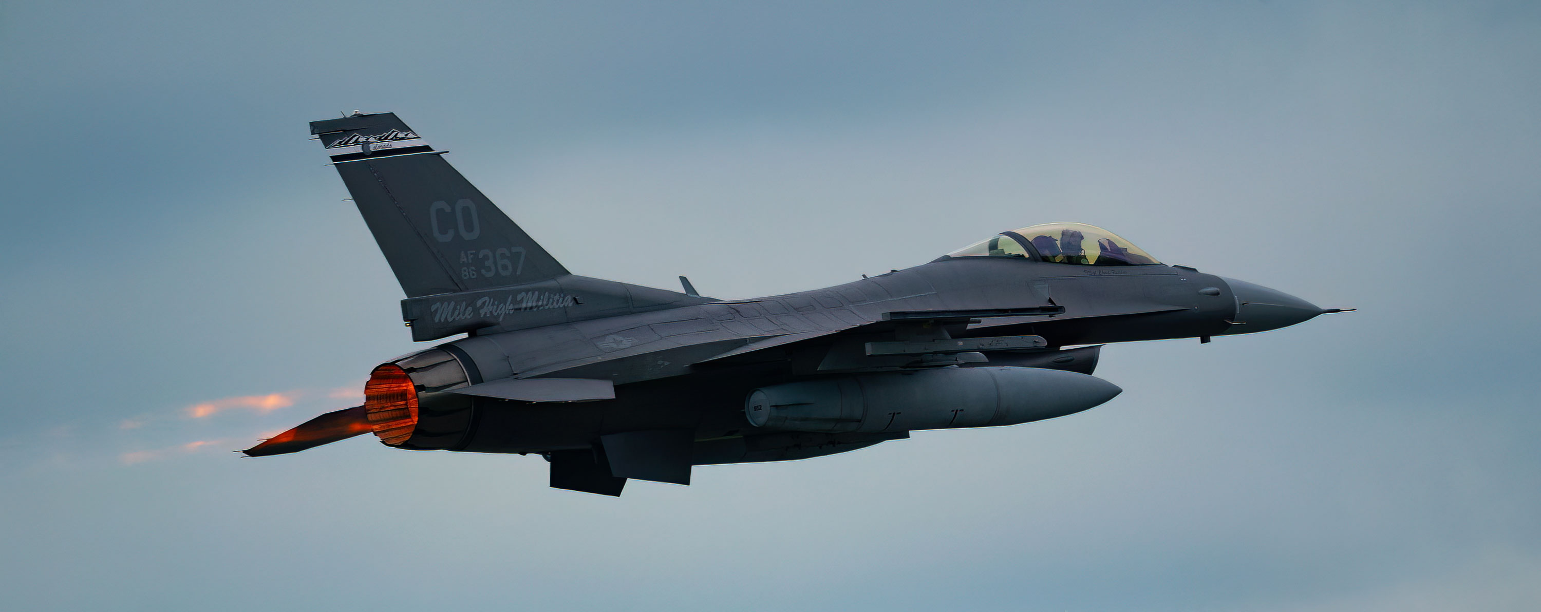 Air National Guard F-16C/D Fighting Falcon