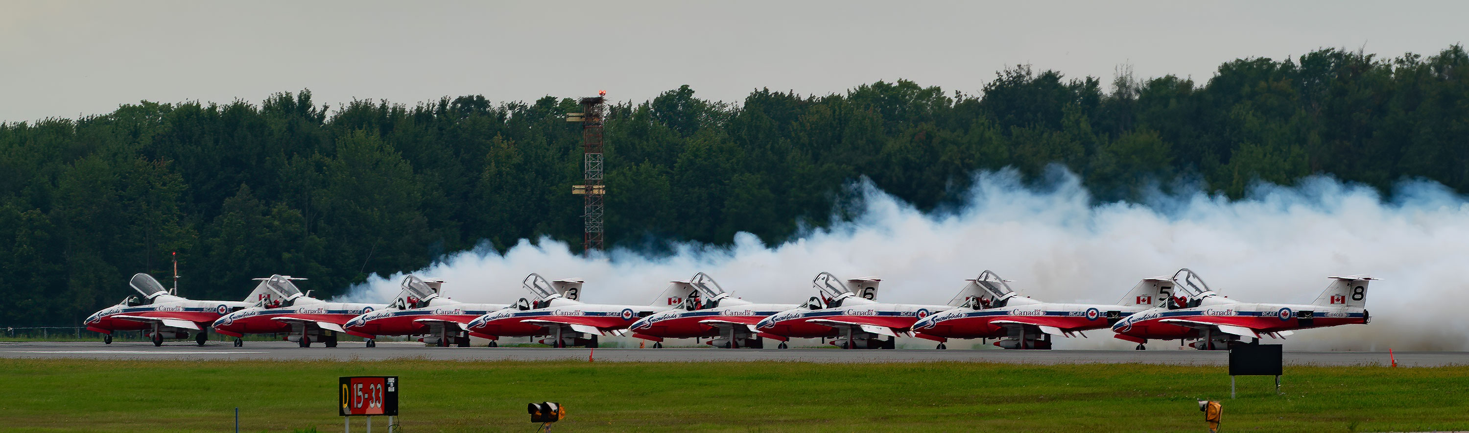 Canadian Forces Snowbirds