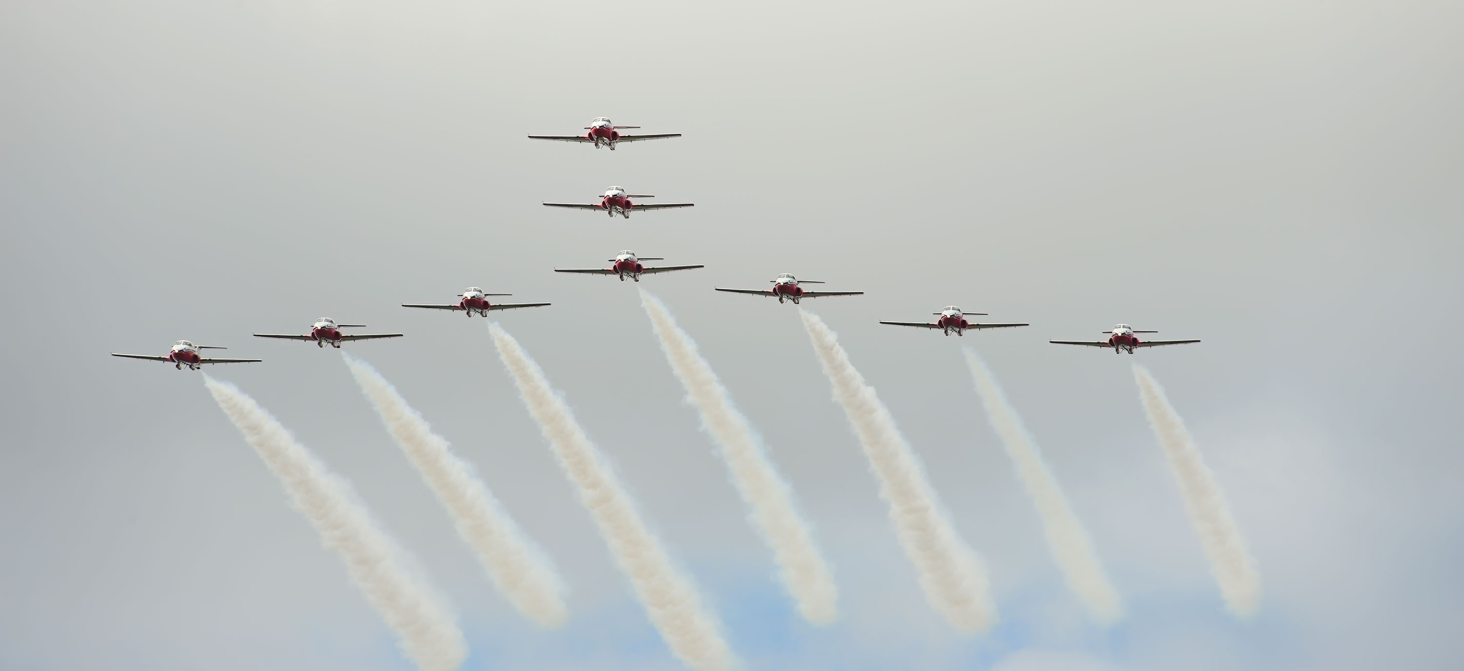Snowbirds