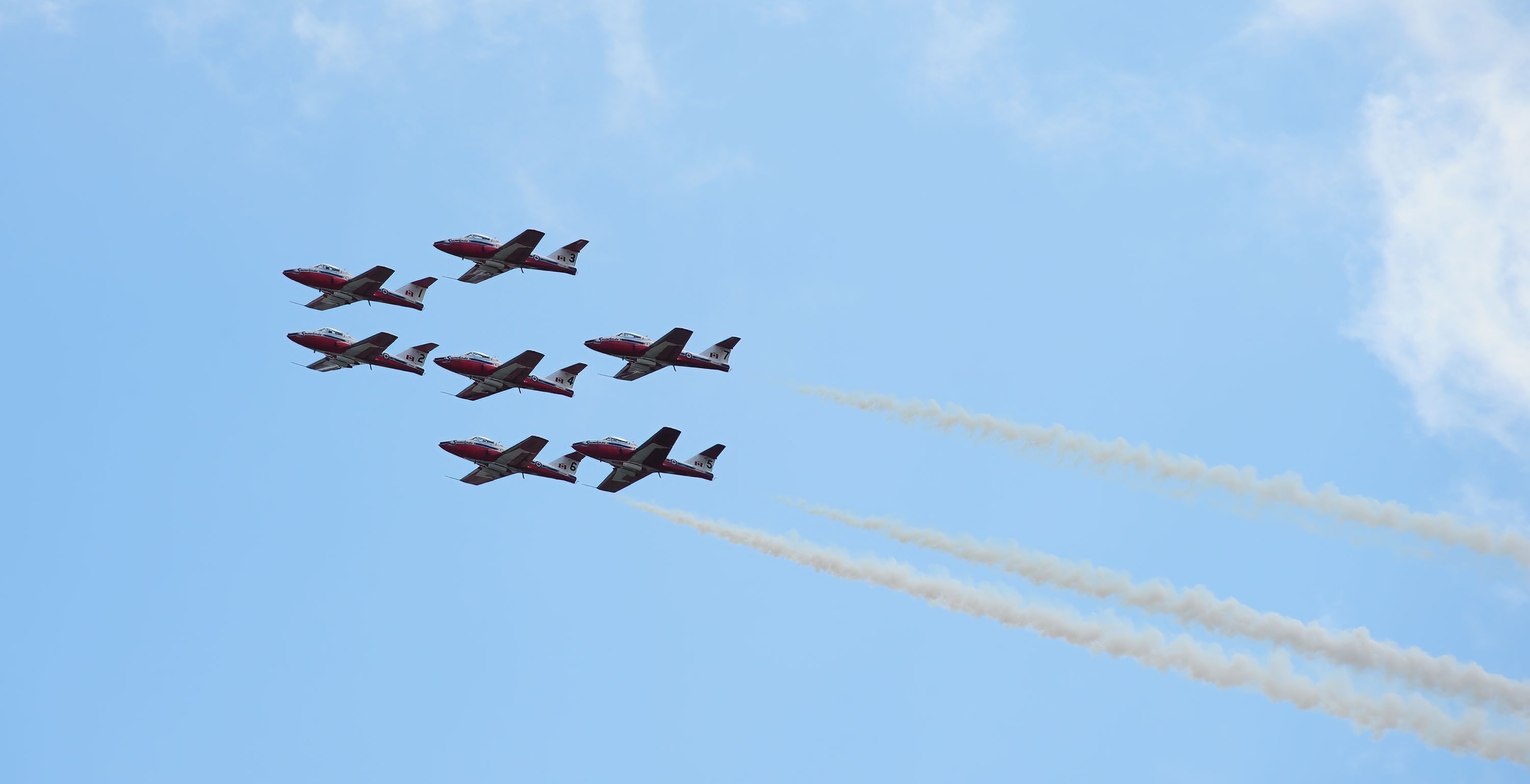 Snowbirds
