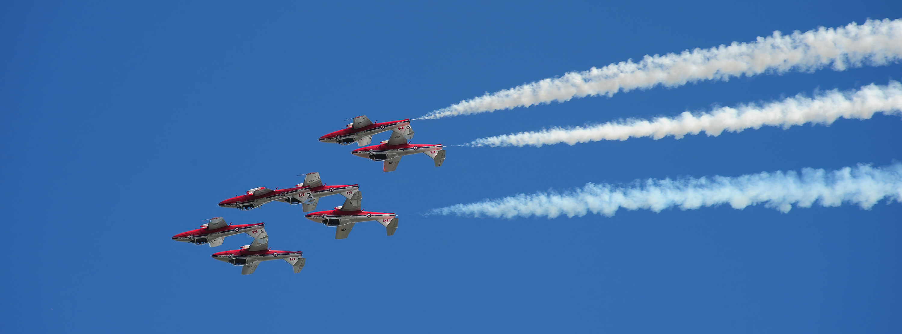 Snowbirds