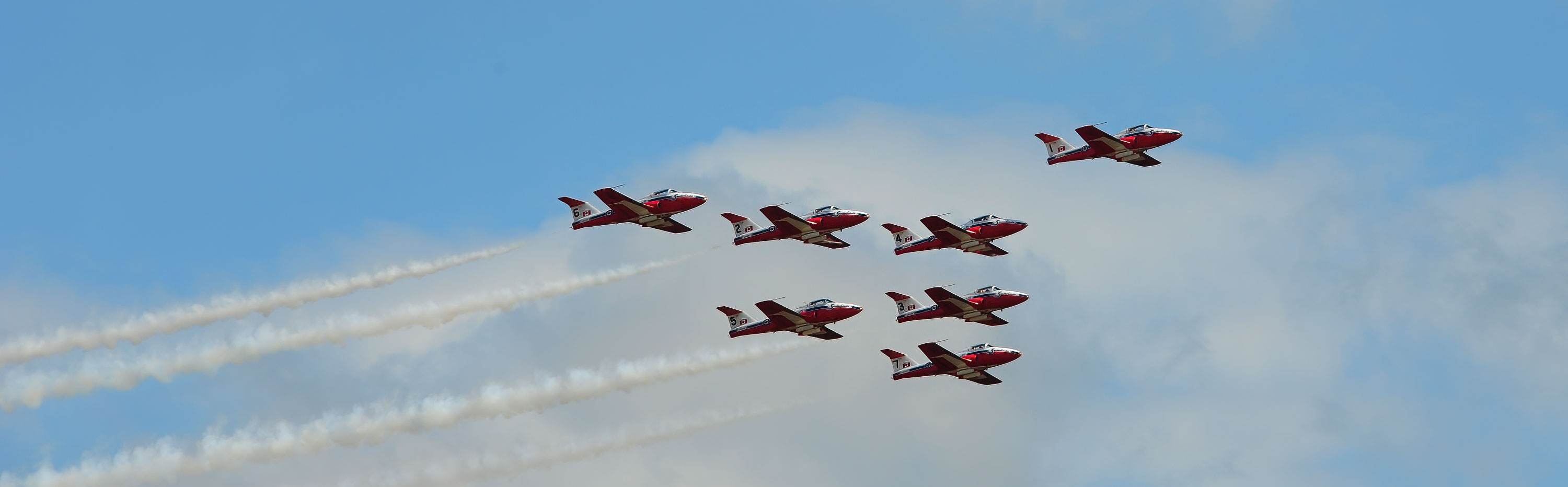 Snowbirds