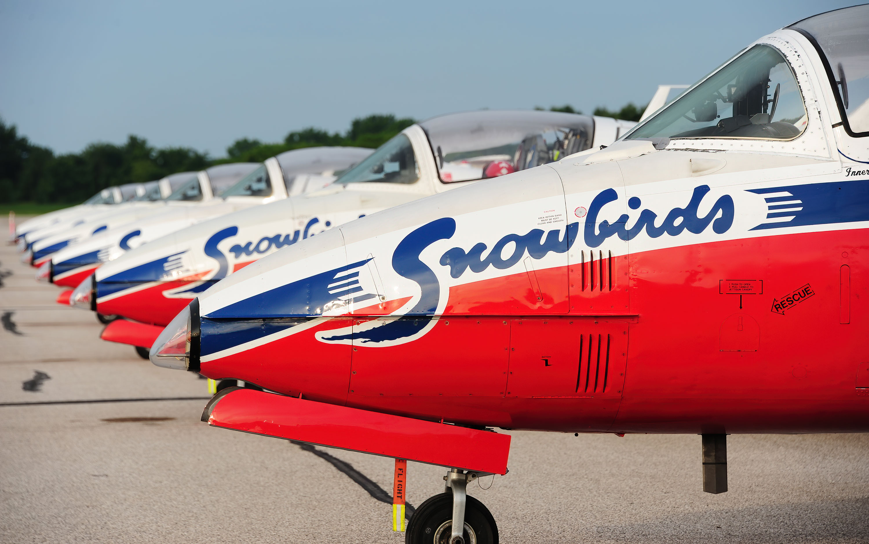 Snowbirds