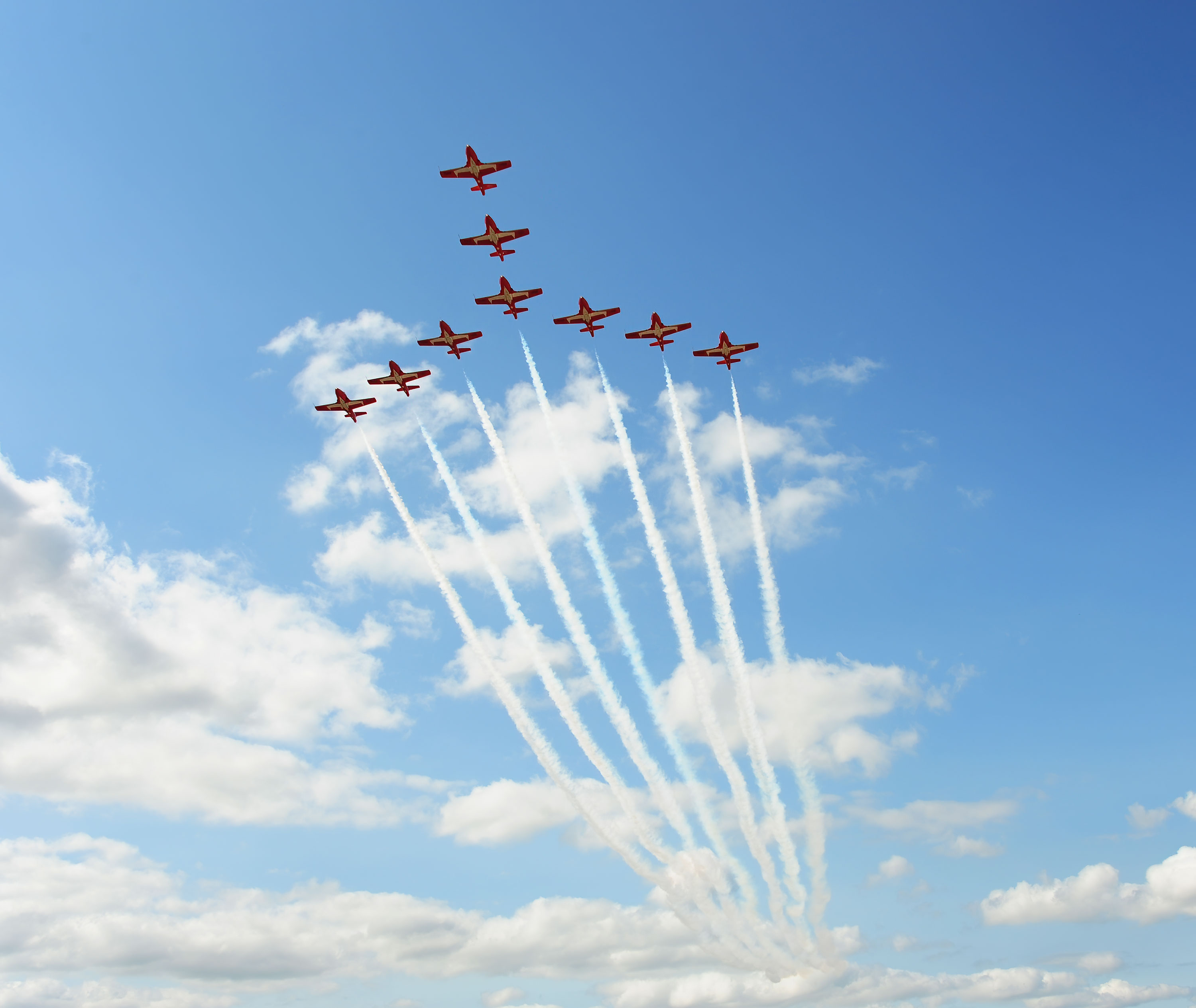 Snowbirds