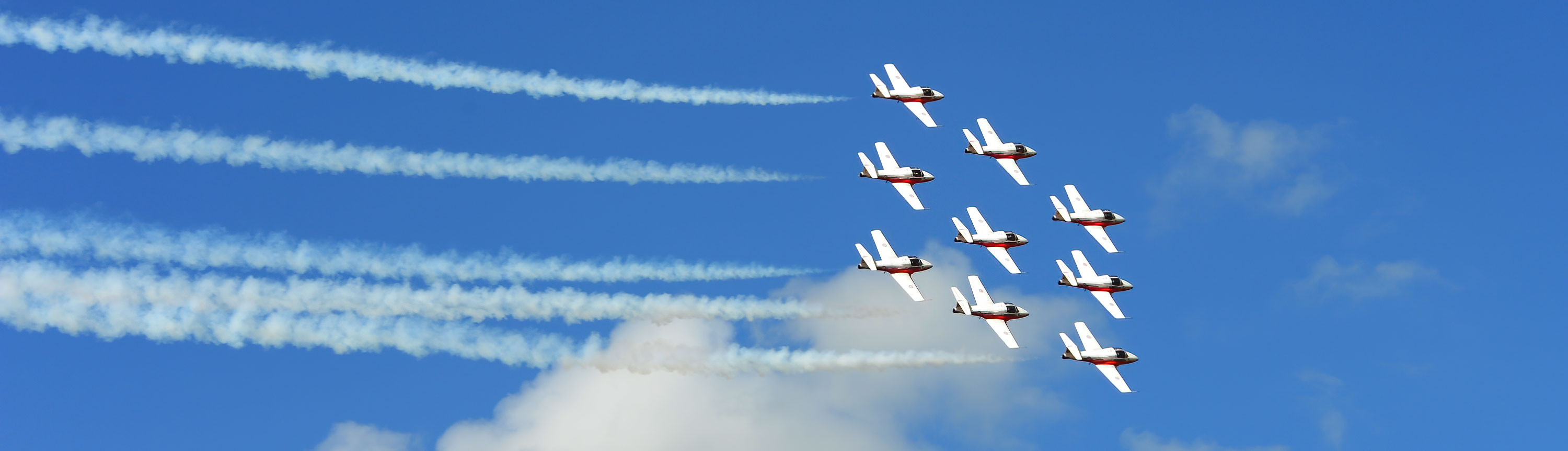 Snowbirds