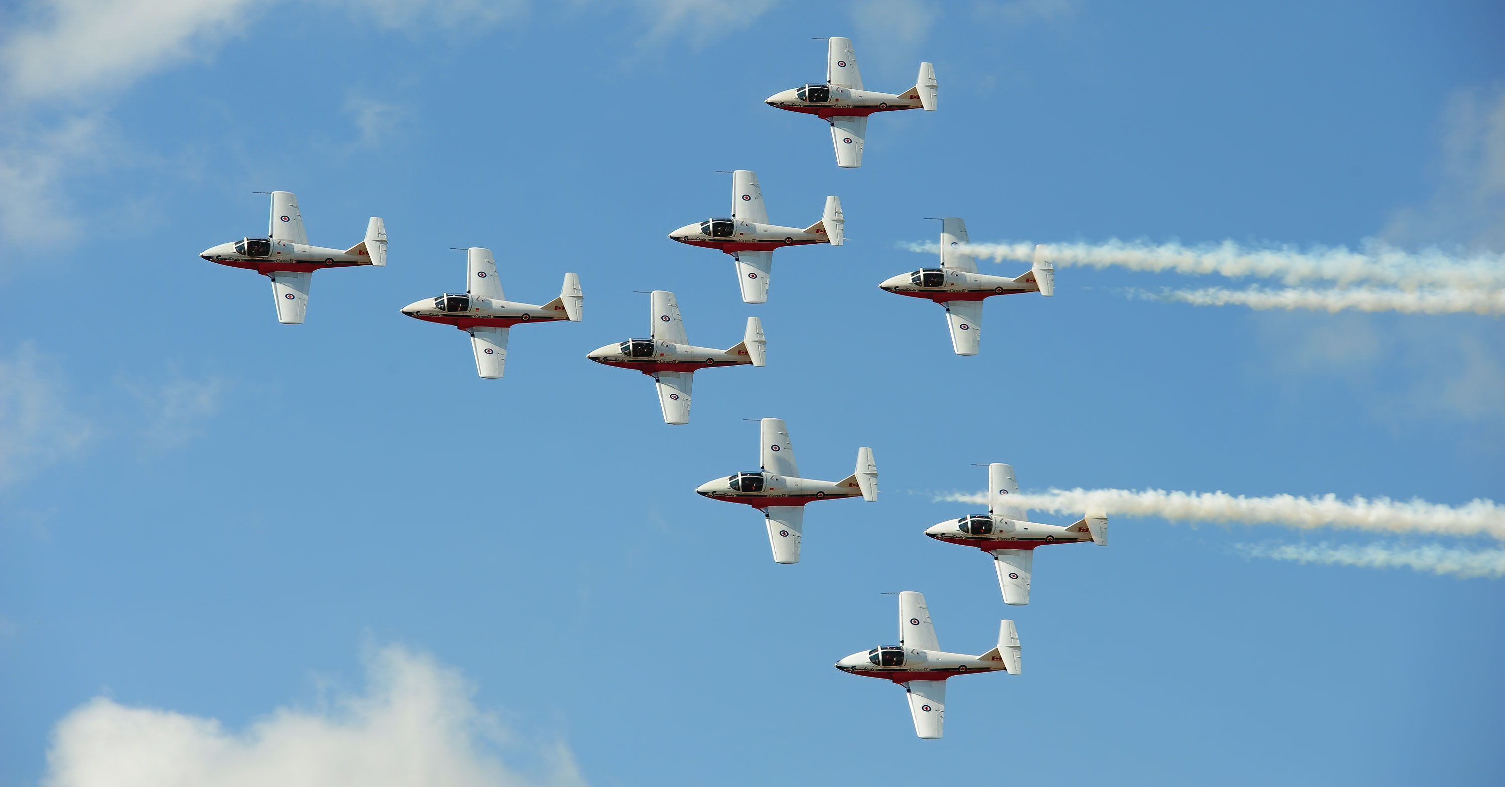 Snowbirds