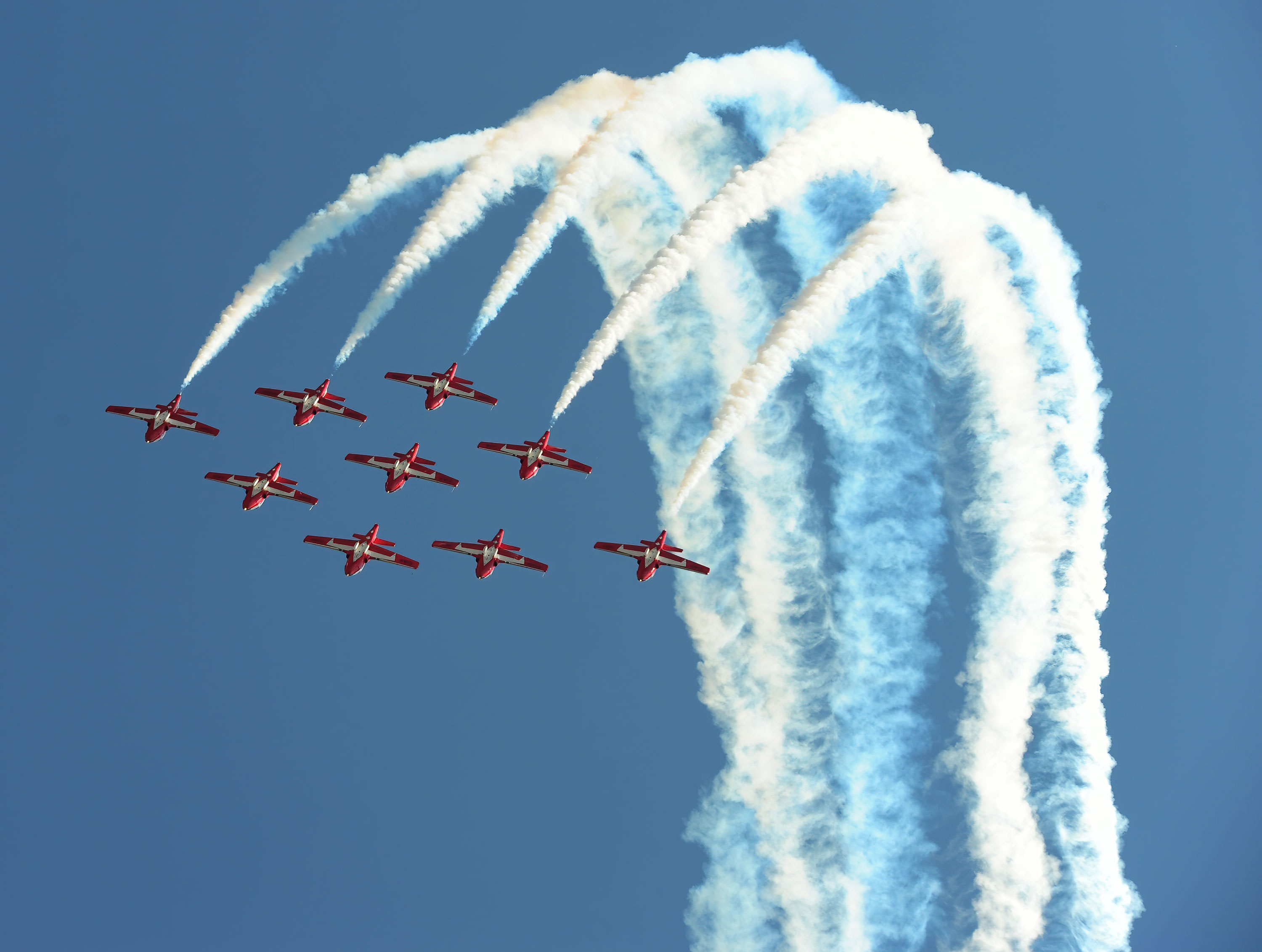 Snowbirds