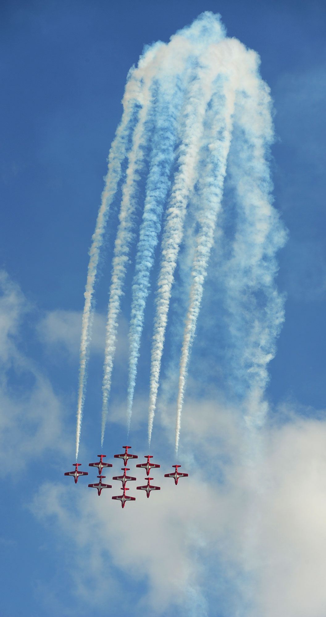 Snowbirds