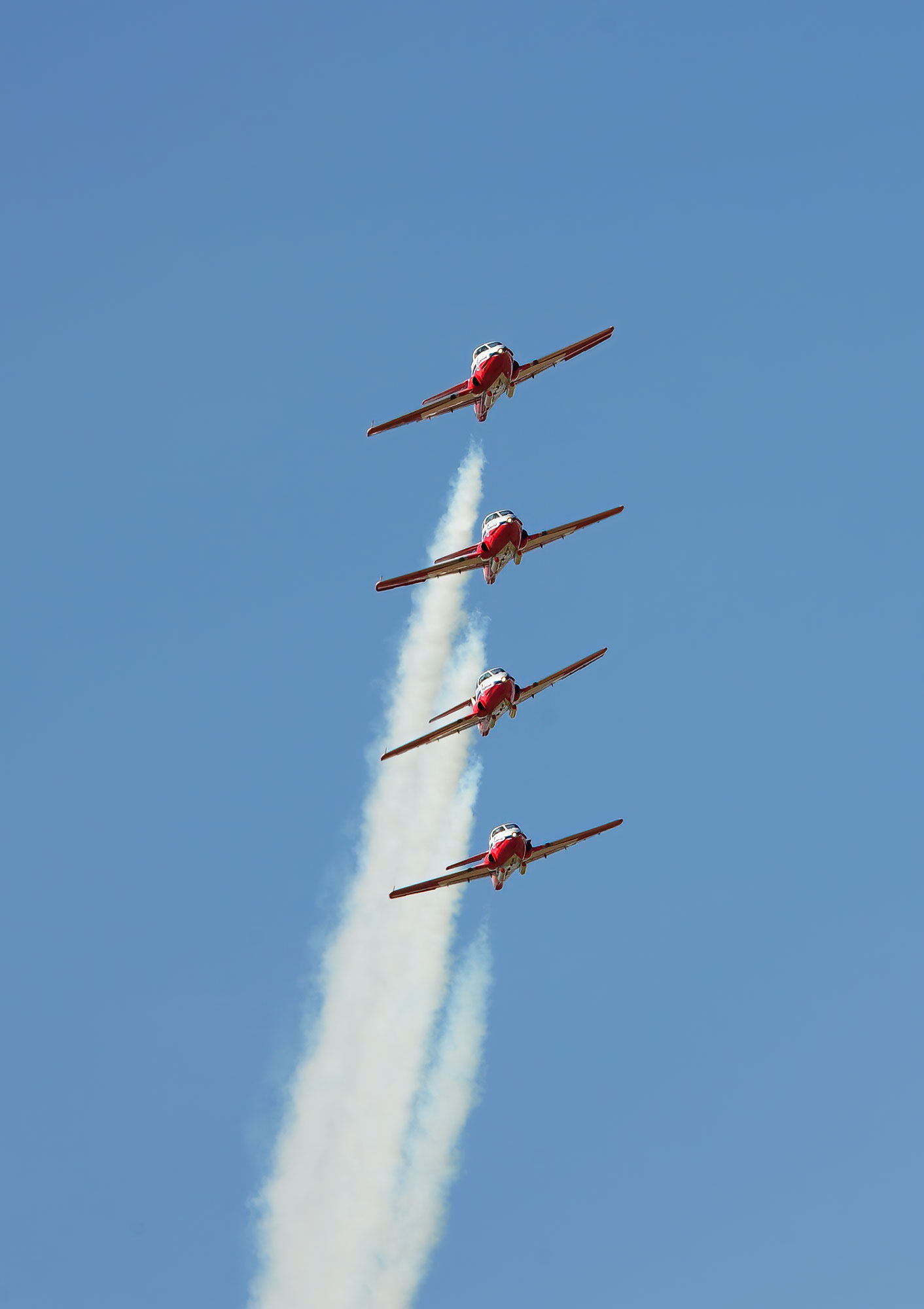 Snowbirds