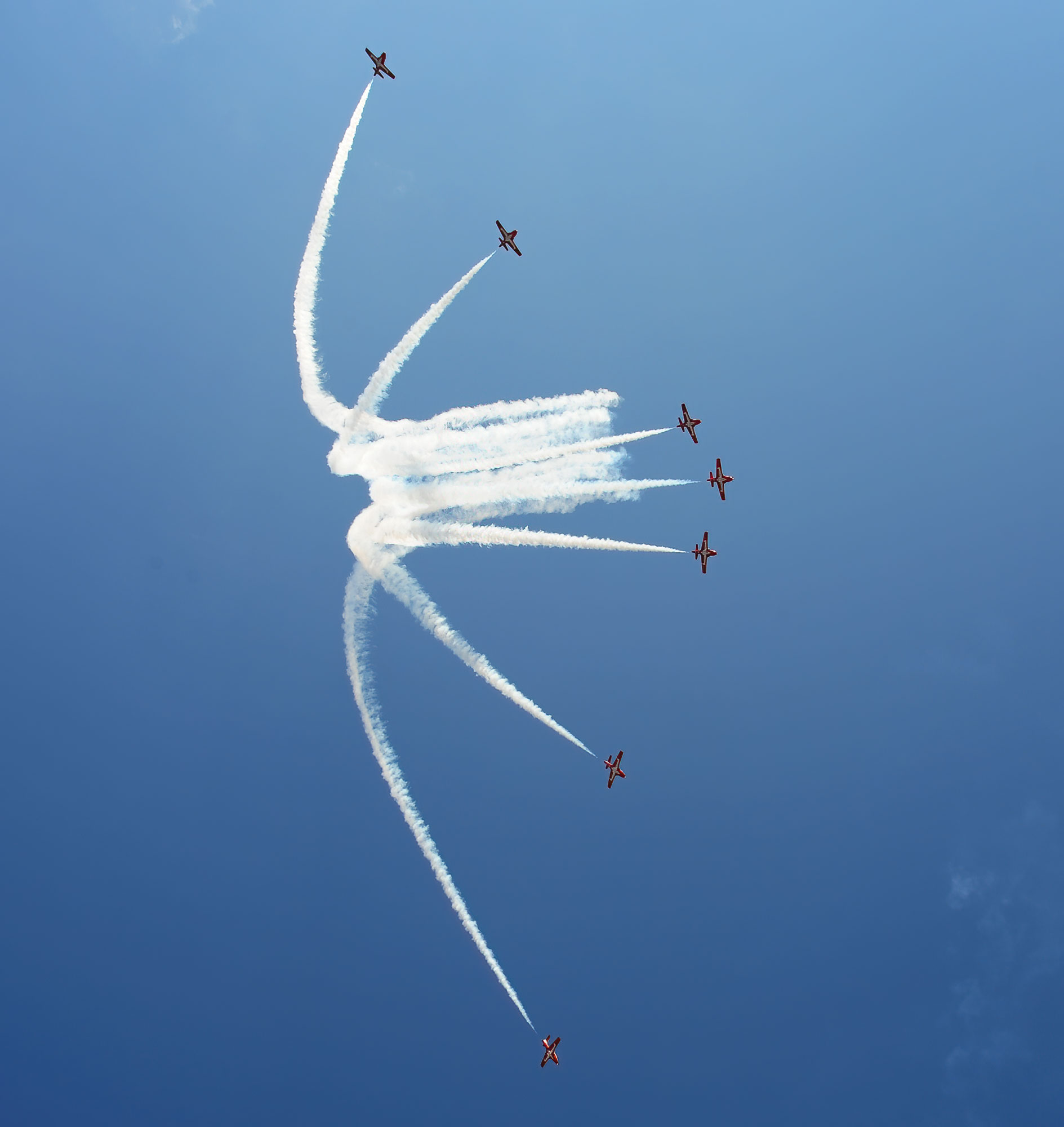 Snowbirds