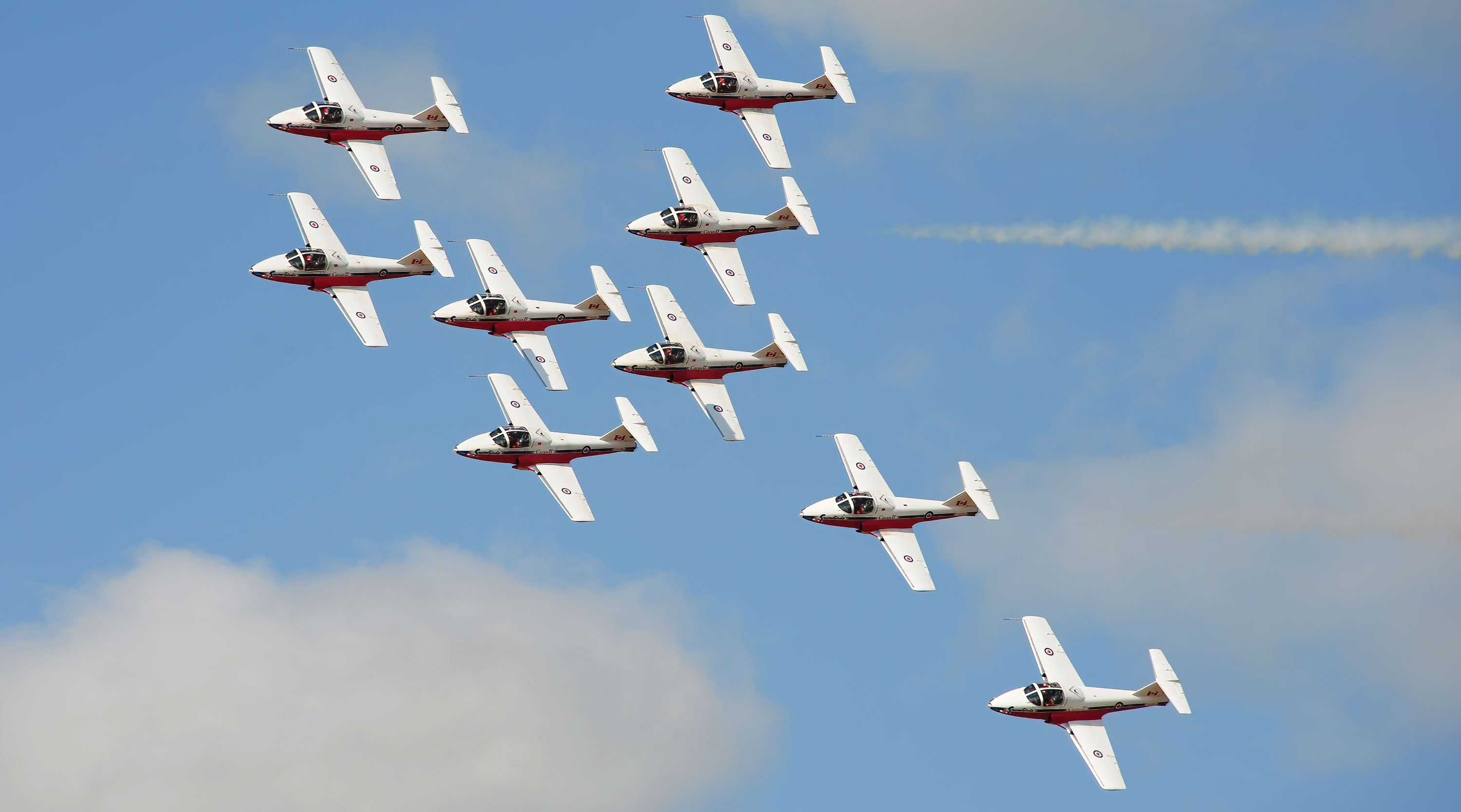 Snowbirds