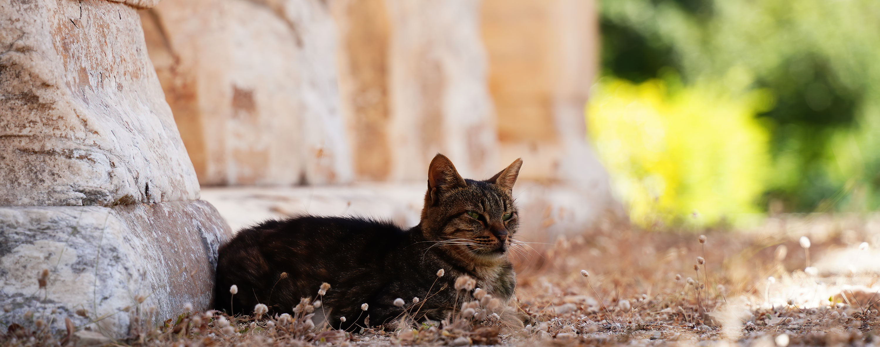 Temple of Hephaestus