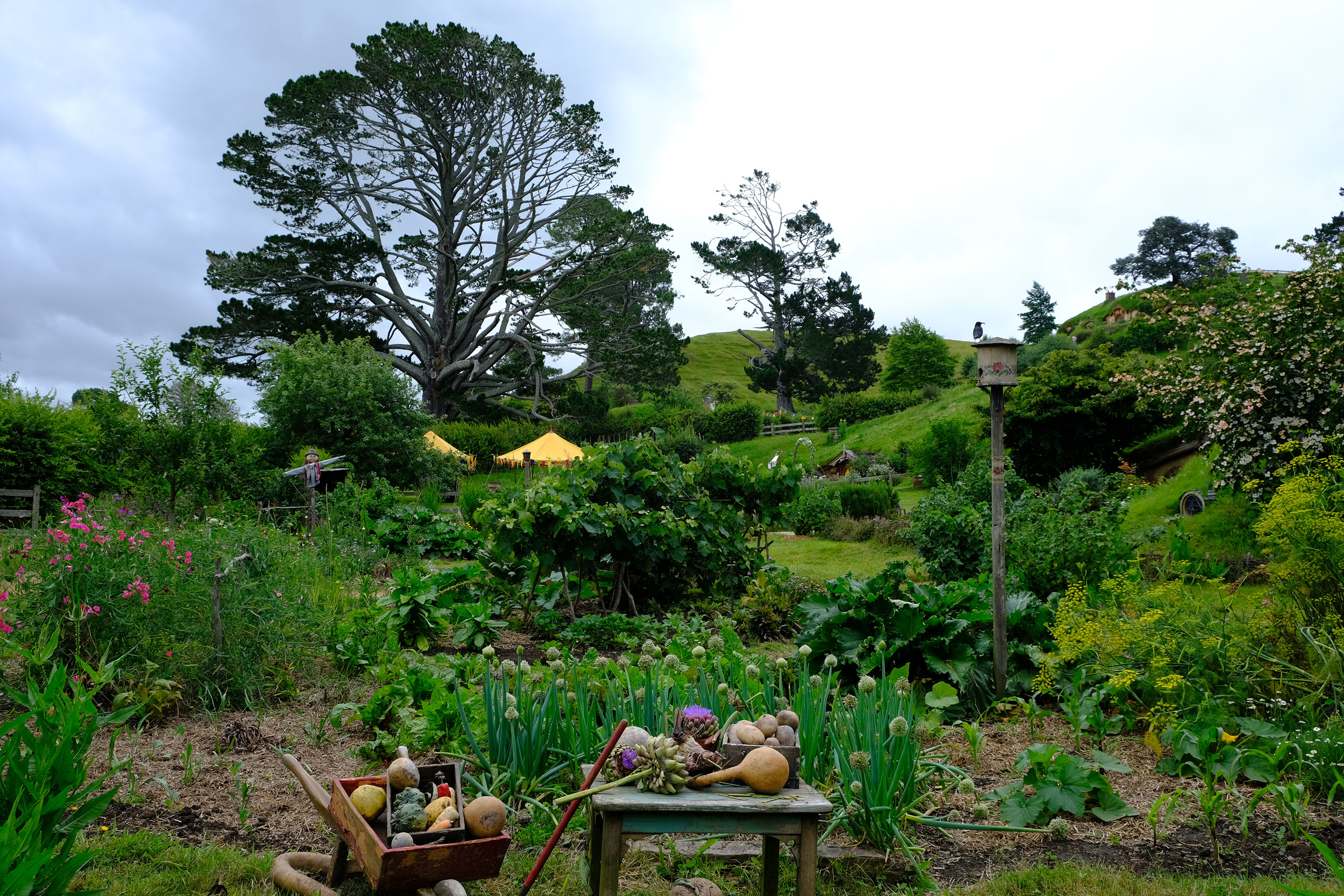 Hobbiton