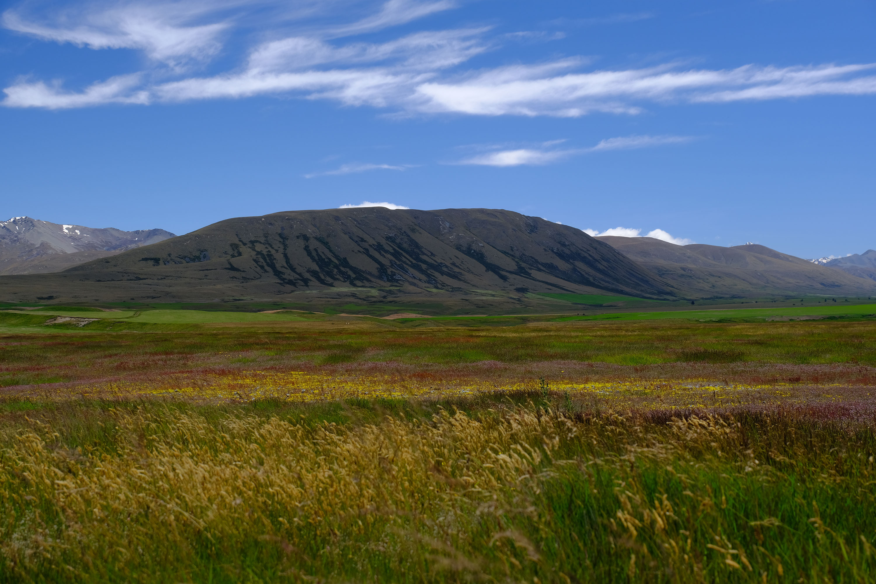 Hakatere Conservation Park