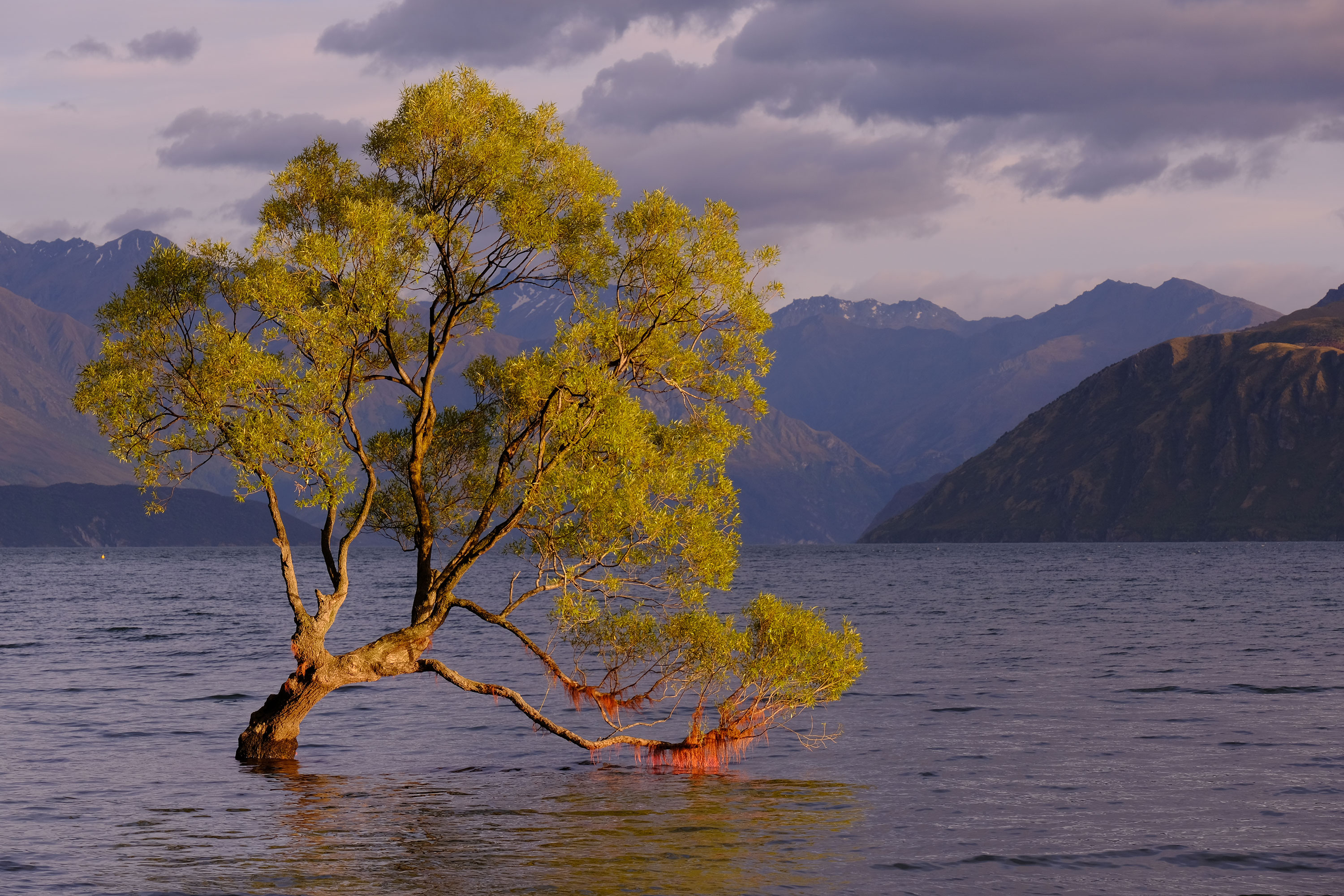 Wanaka