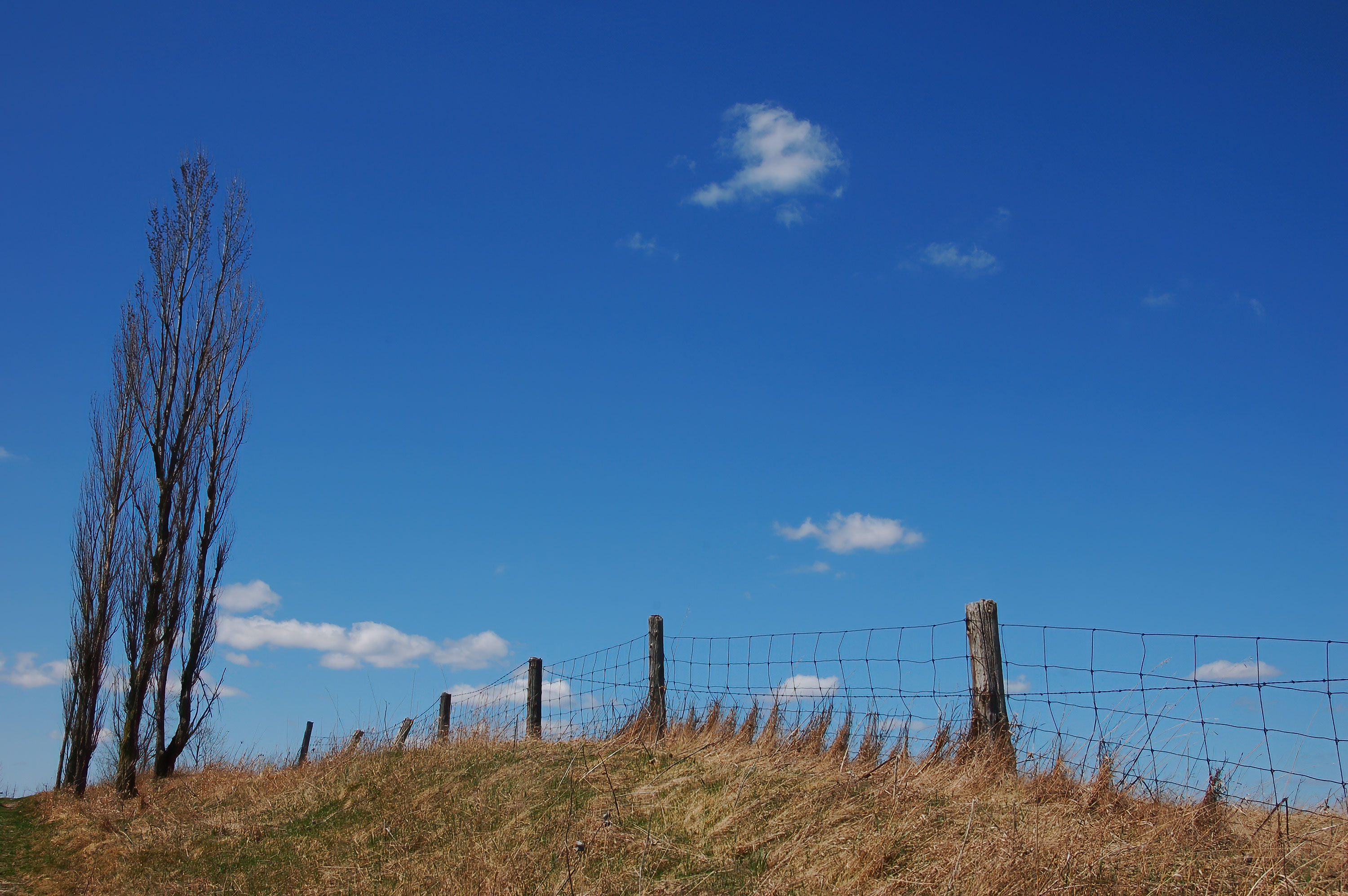 Forks of the Credit River