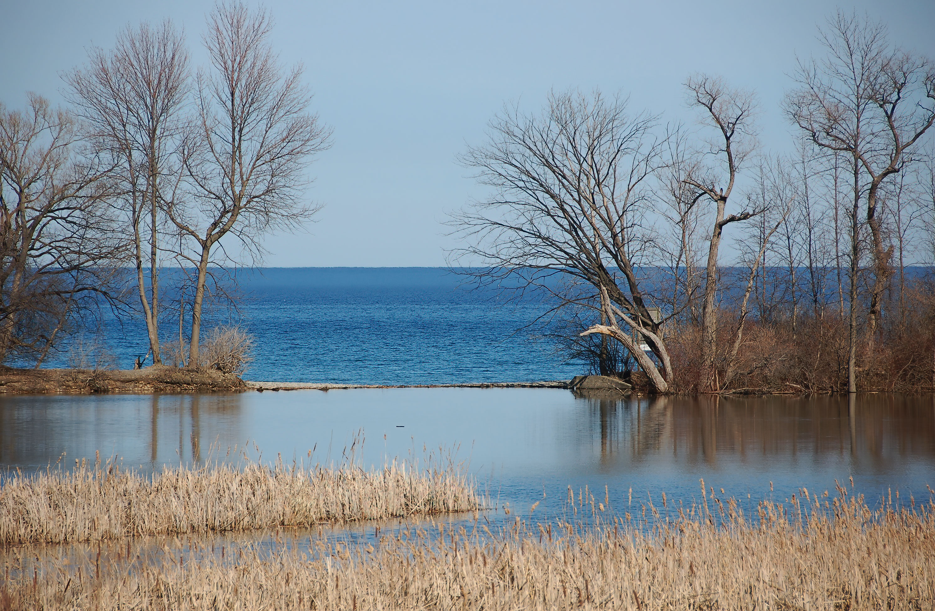 Southdown, Mississauga