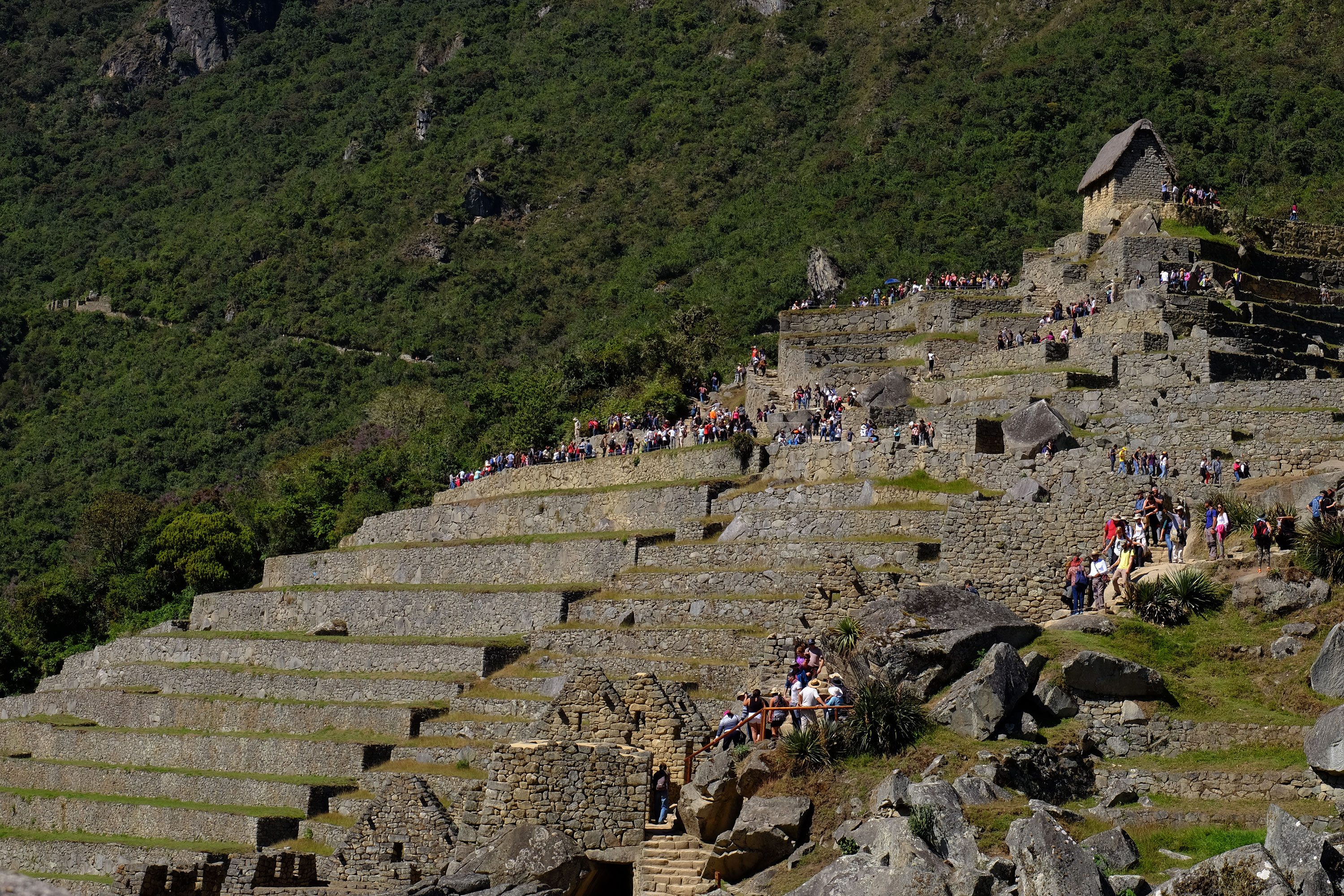 Machupicchu38