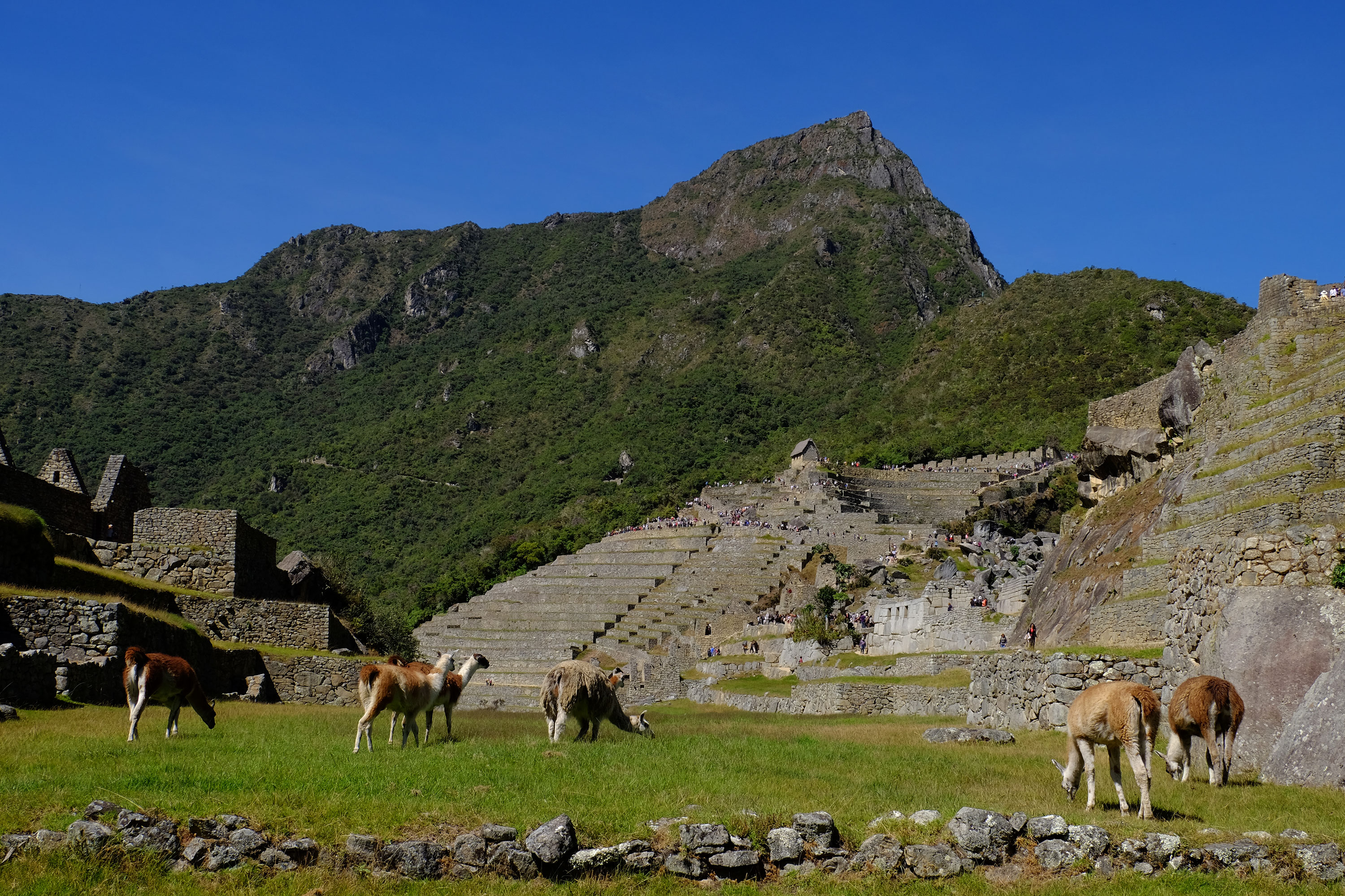 Machupicchu39