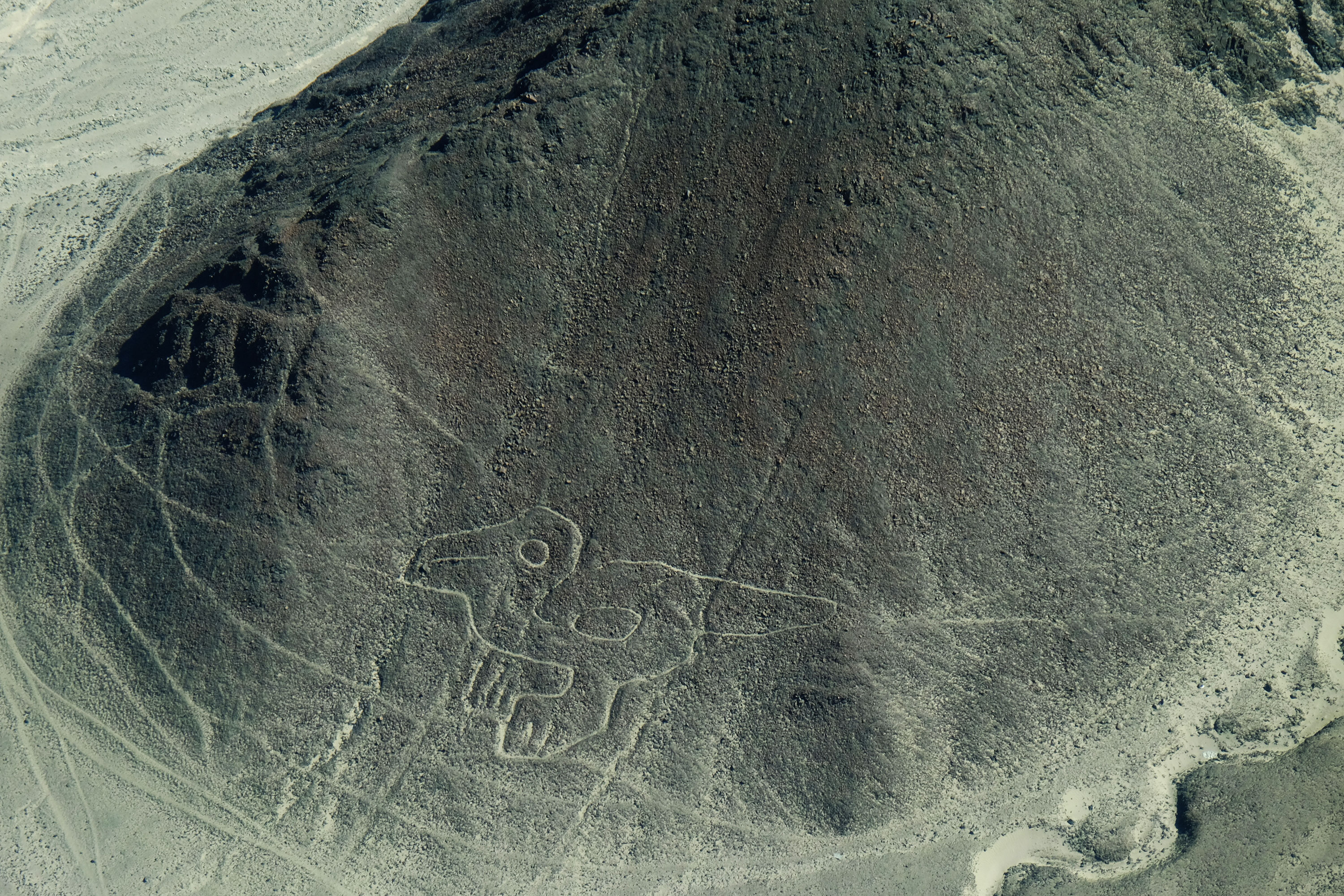 Nazca6