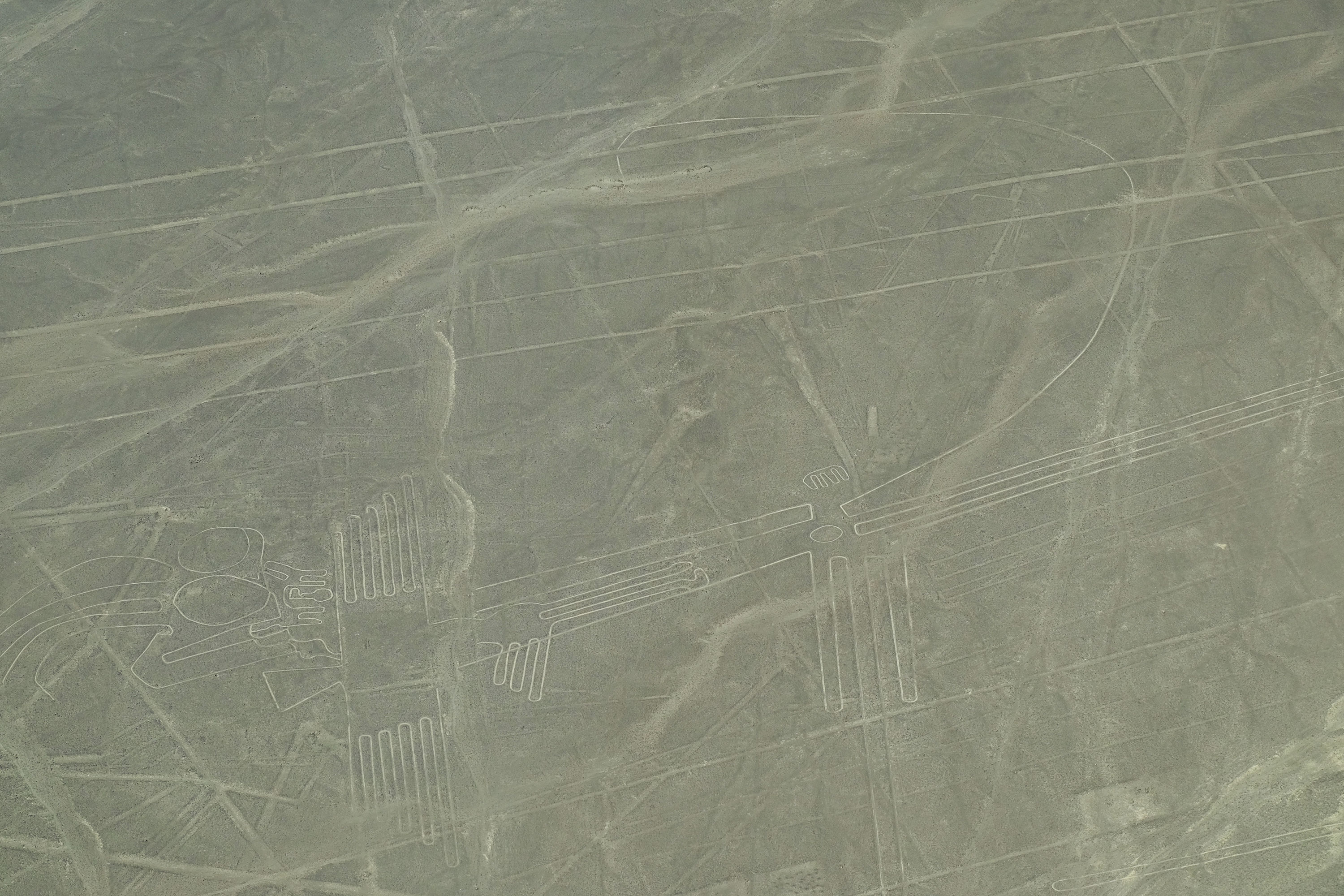Nazca8